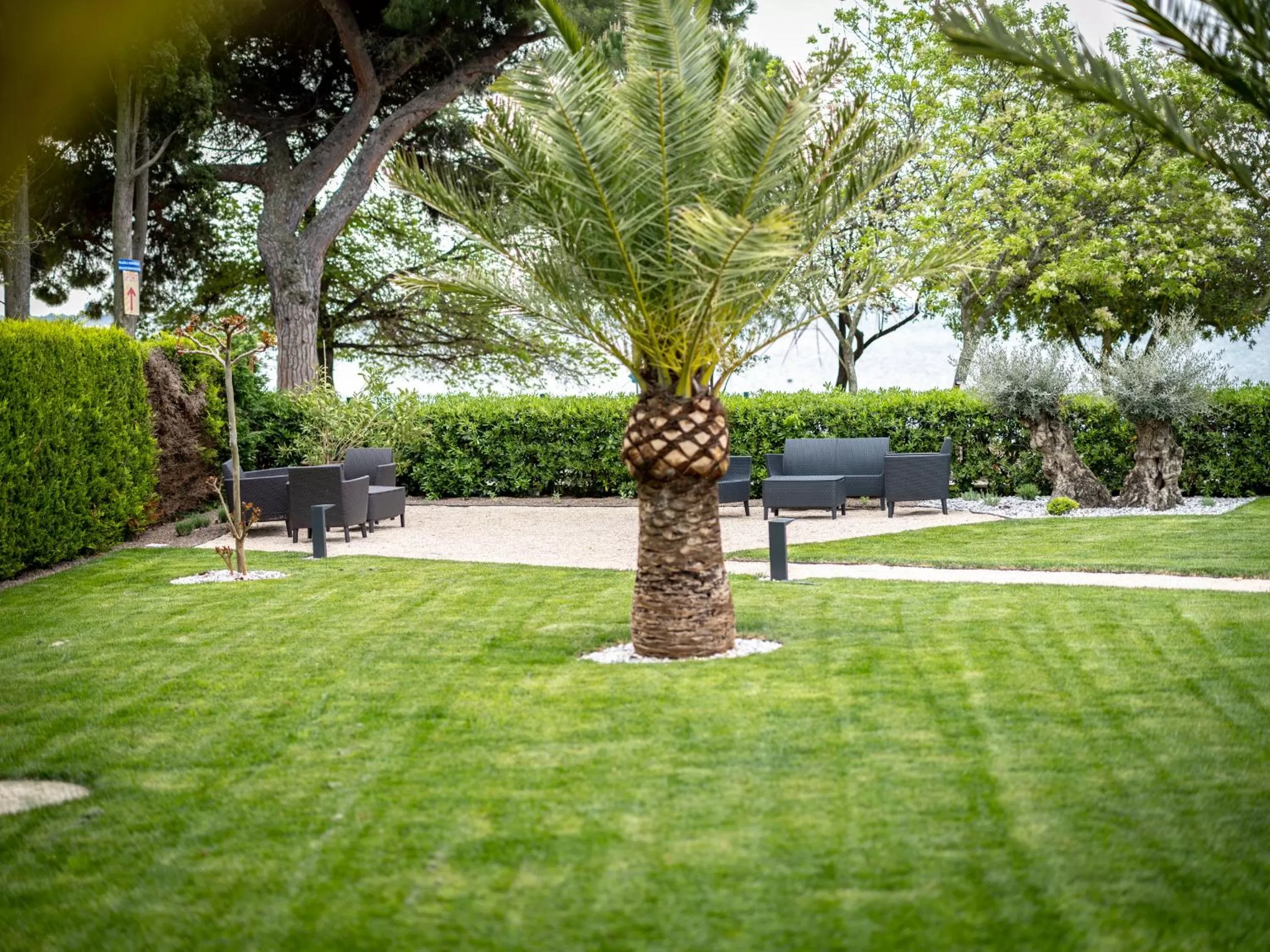 Garden in Hotel Villa Rosetta