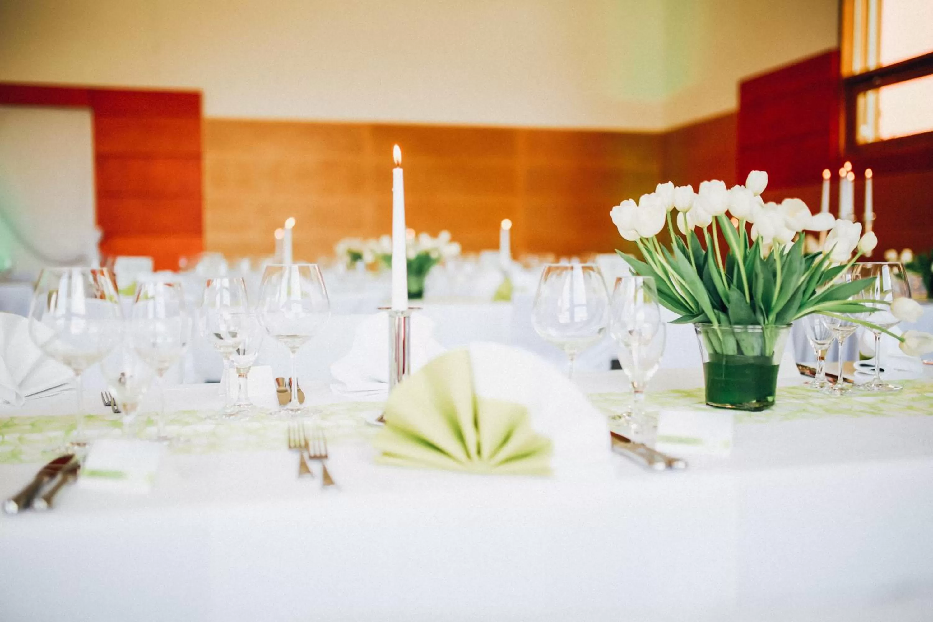 Banquet/Function facilities in Ostseehotel Dierhagen