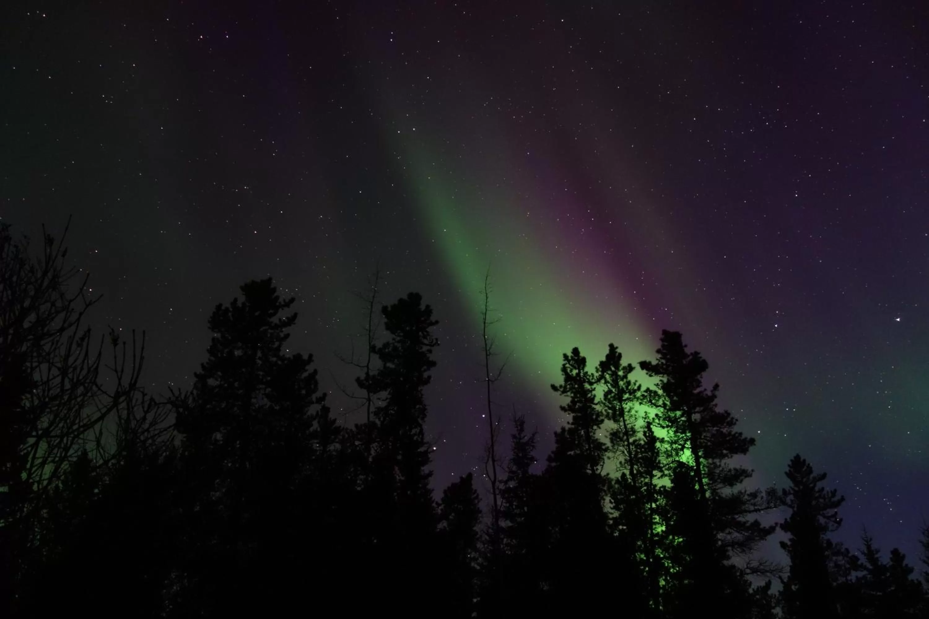 View (from property/room), Winter in Hidden Valley Bed and Breakfast