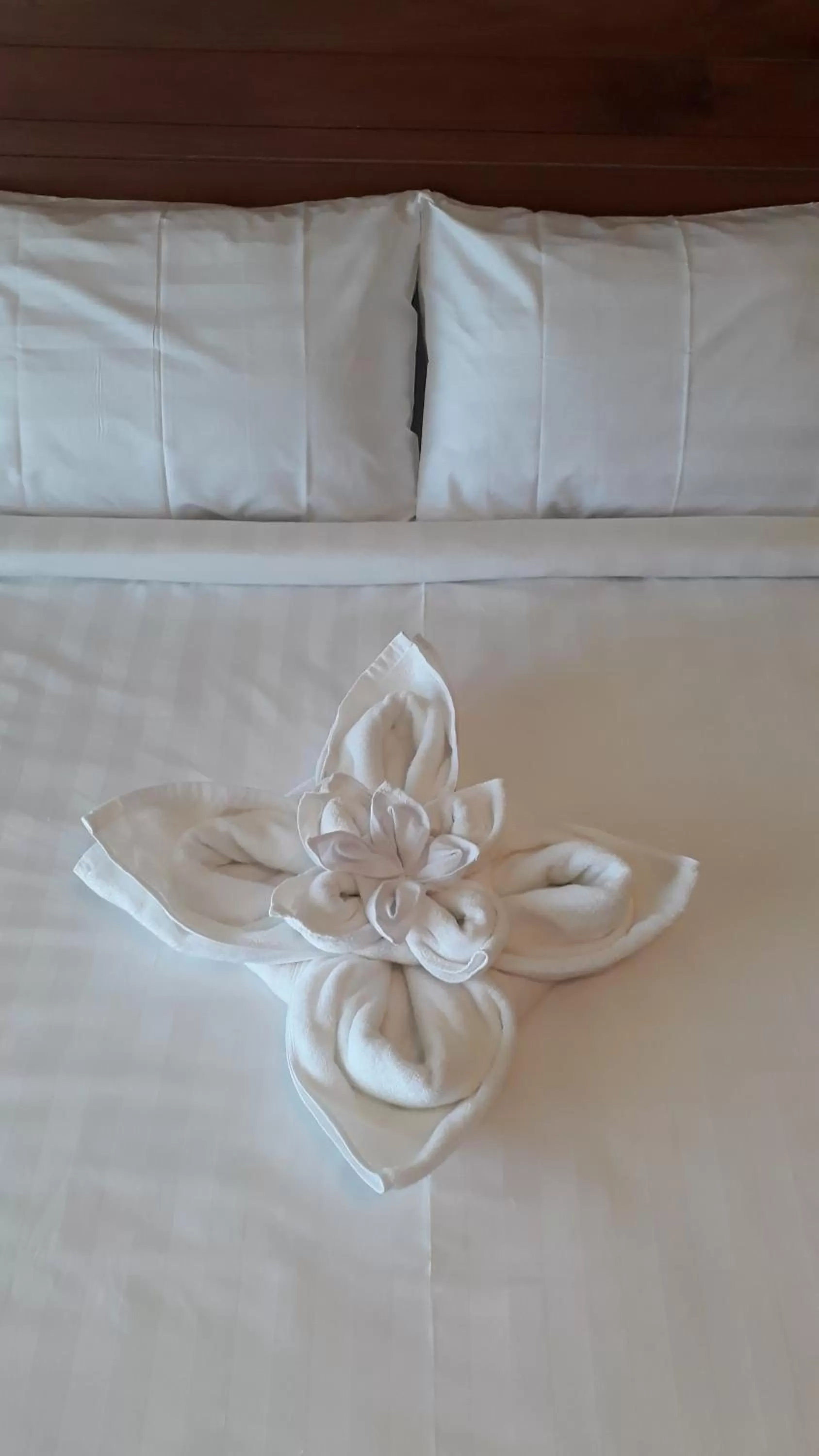 Decorative detail, Bed in Pink Tulip Hoi An