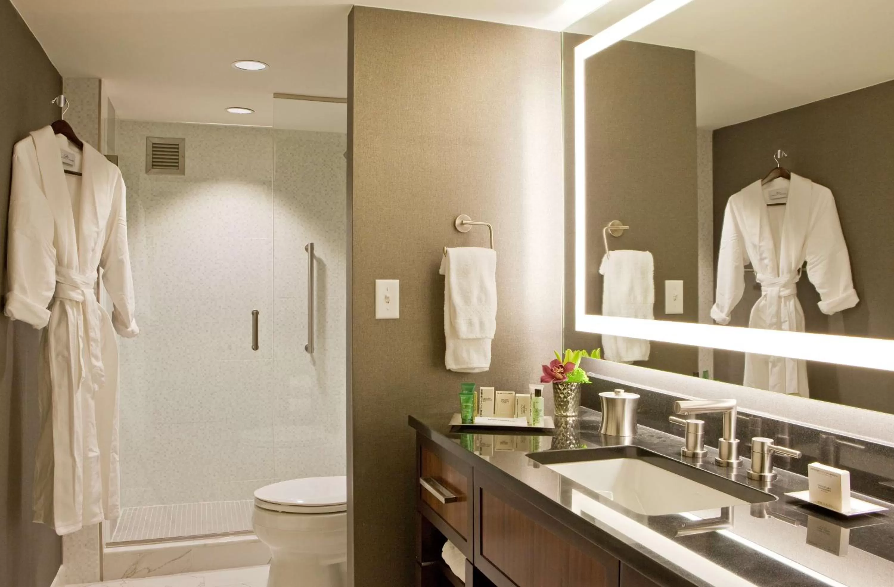 Bathroom in Hilton Nashville Downtown