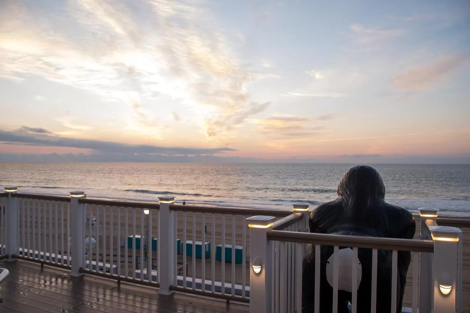 Sea view in Safari Hotel Boardwalk
