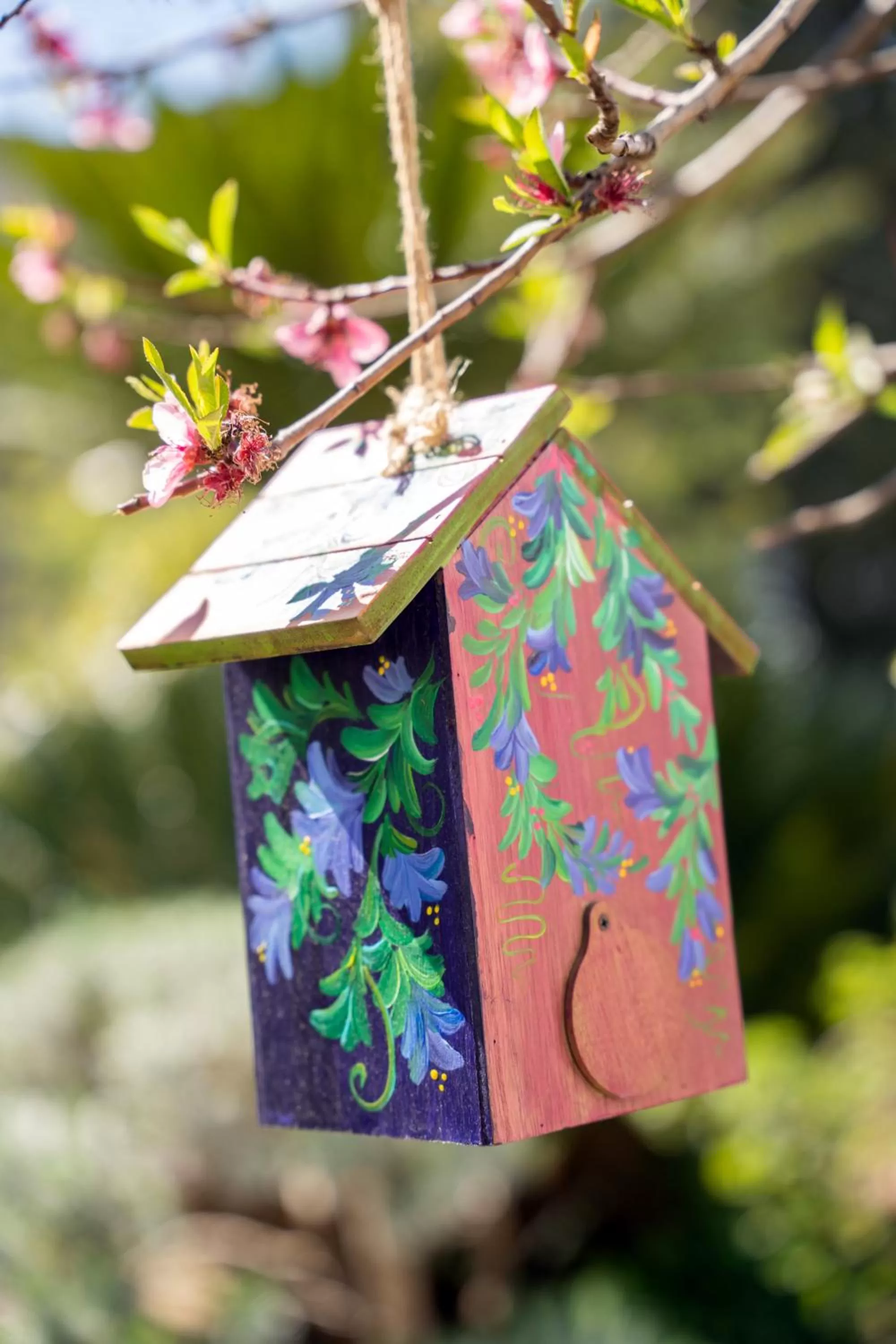 Natural landscape in B&B Il Sogno