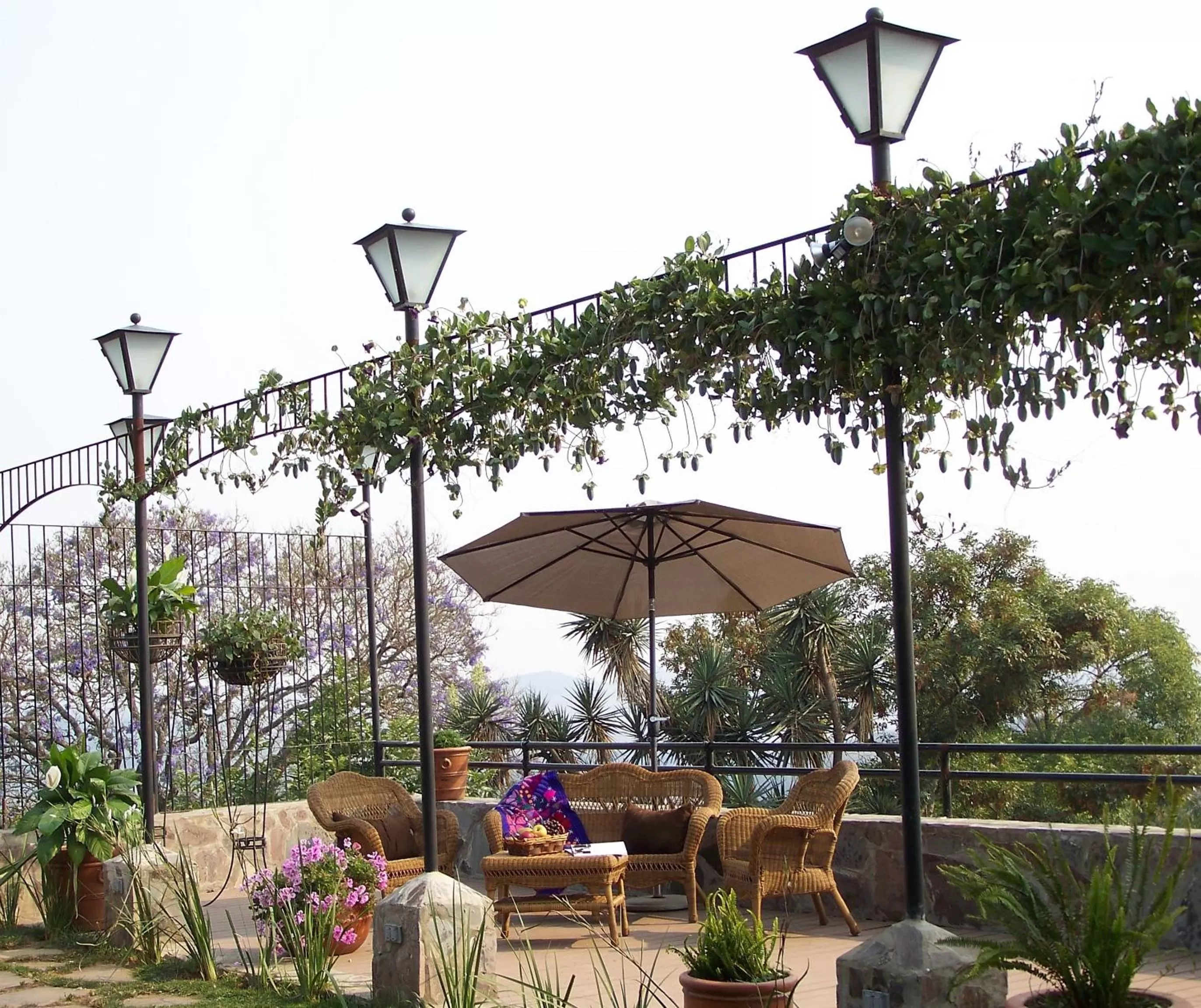 Balcony/Terrace in Hotel Villa Cassis