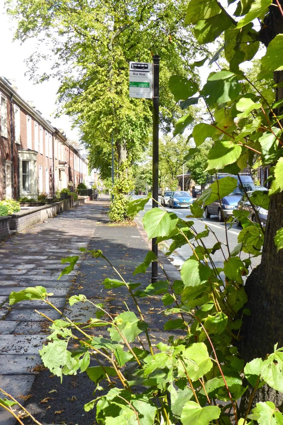 Street view in Rosalind House