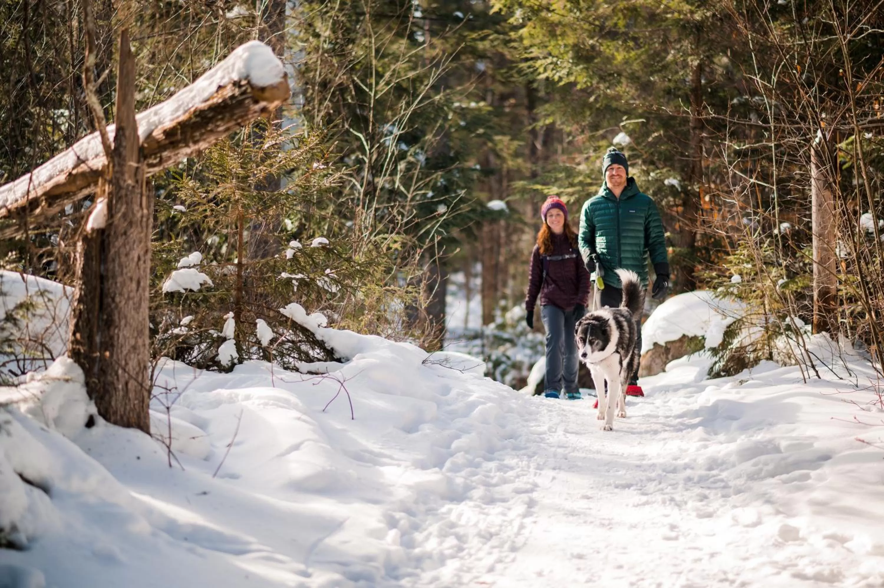 Activities in High Peaks Resort