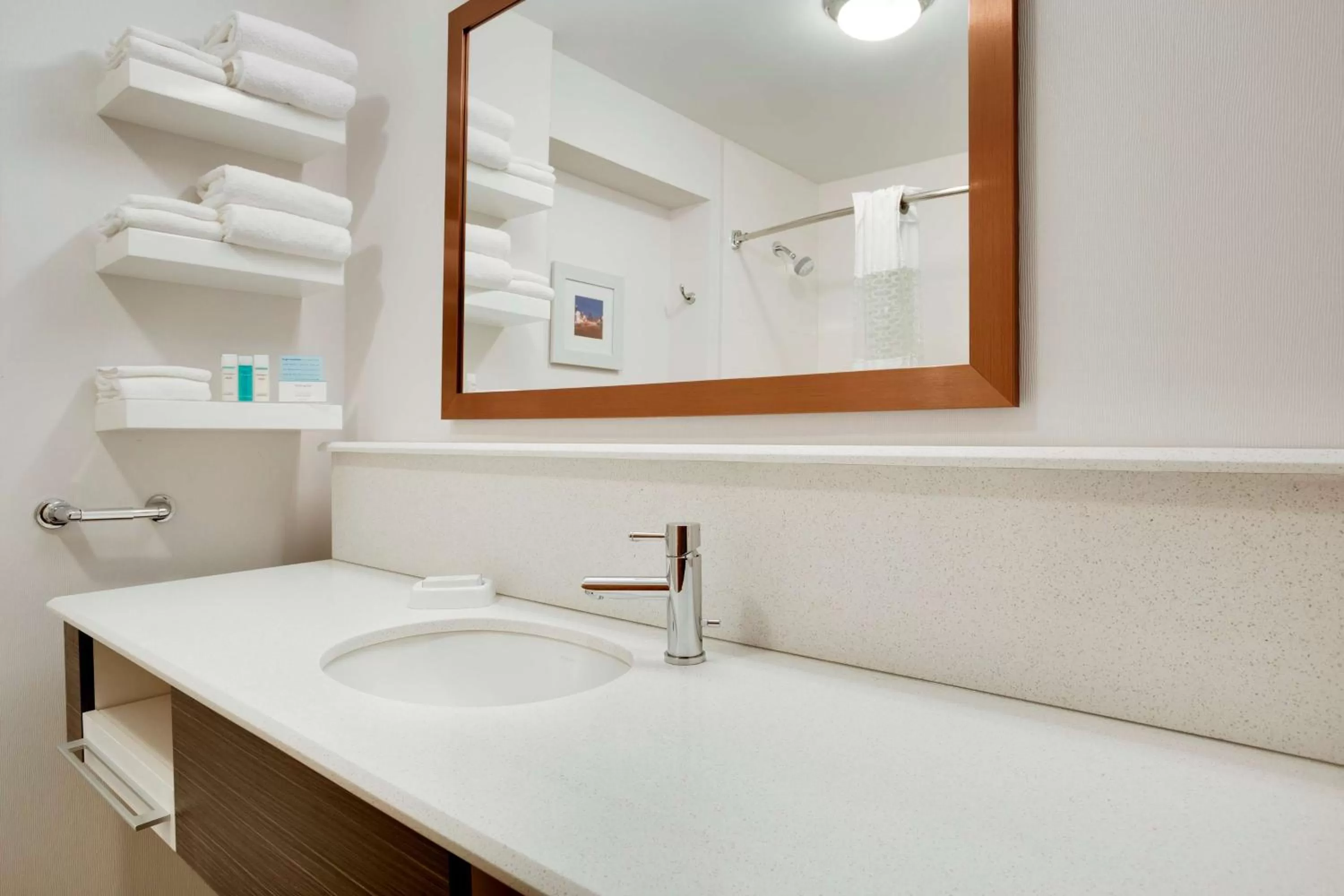 Bathroom in Hampton Inn & Suites Cleveland-Independence