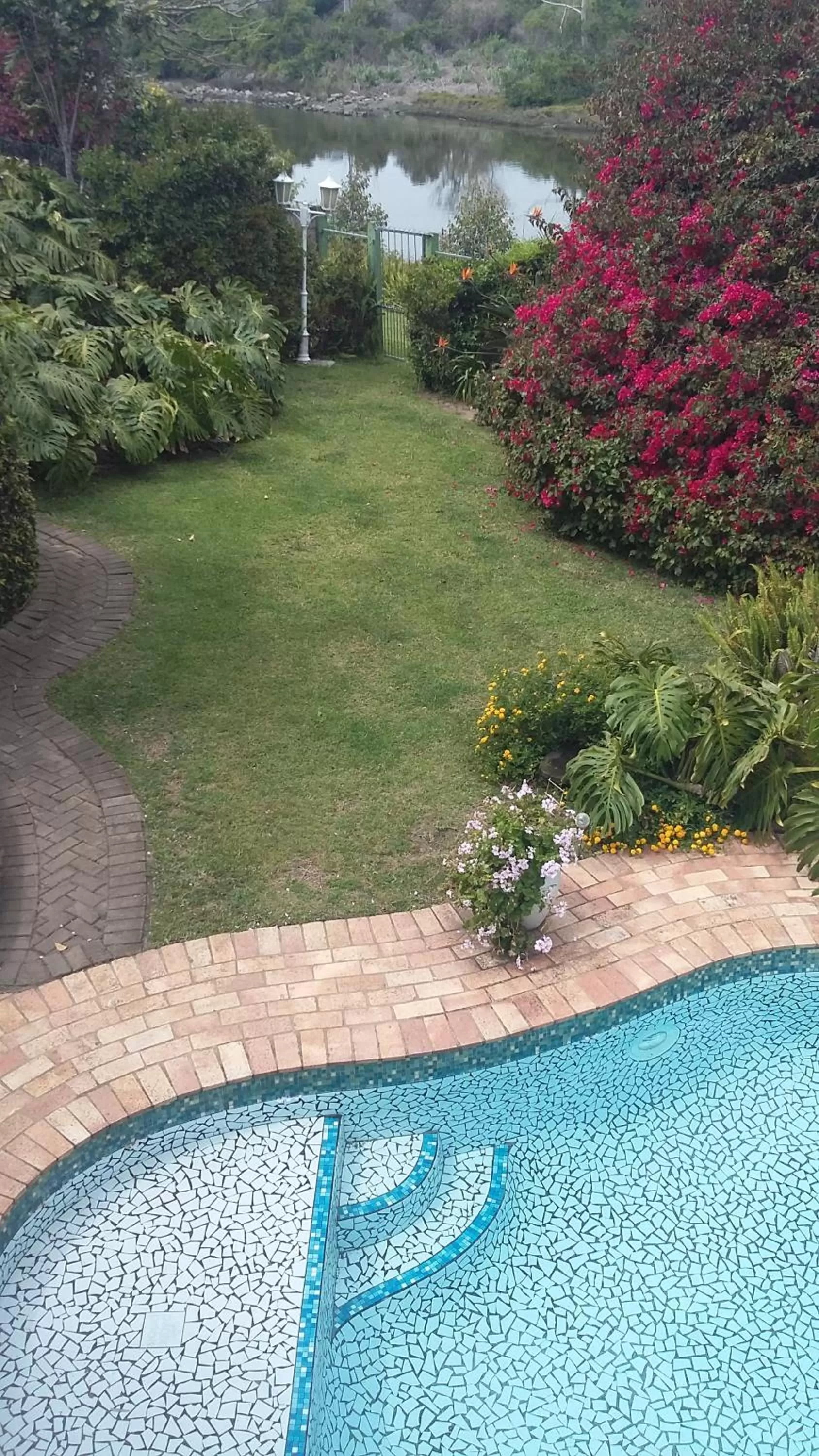 Garden view in Forword's River Lodge