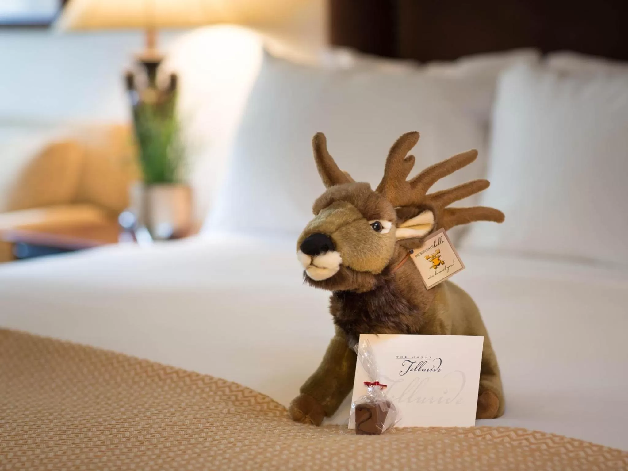 Decorative detail, Bed in The Hotel Telluride