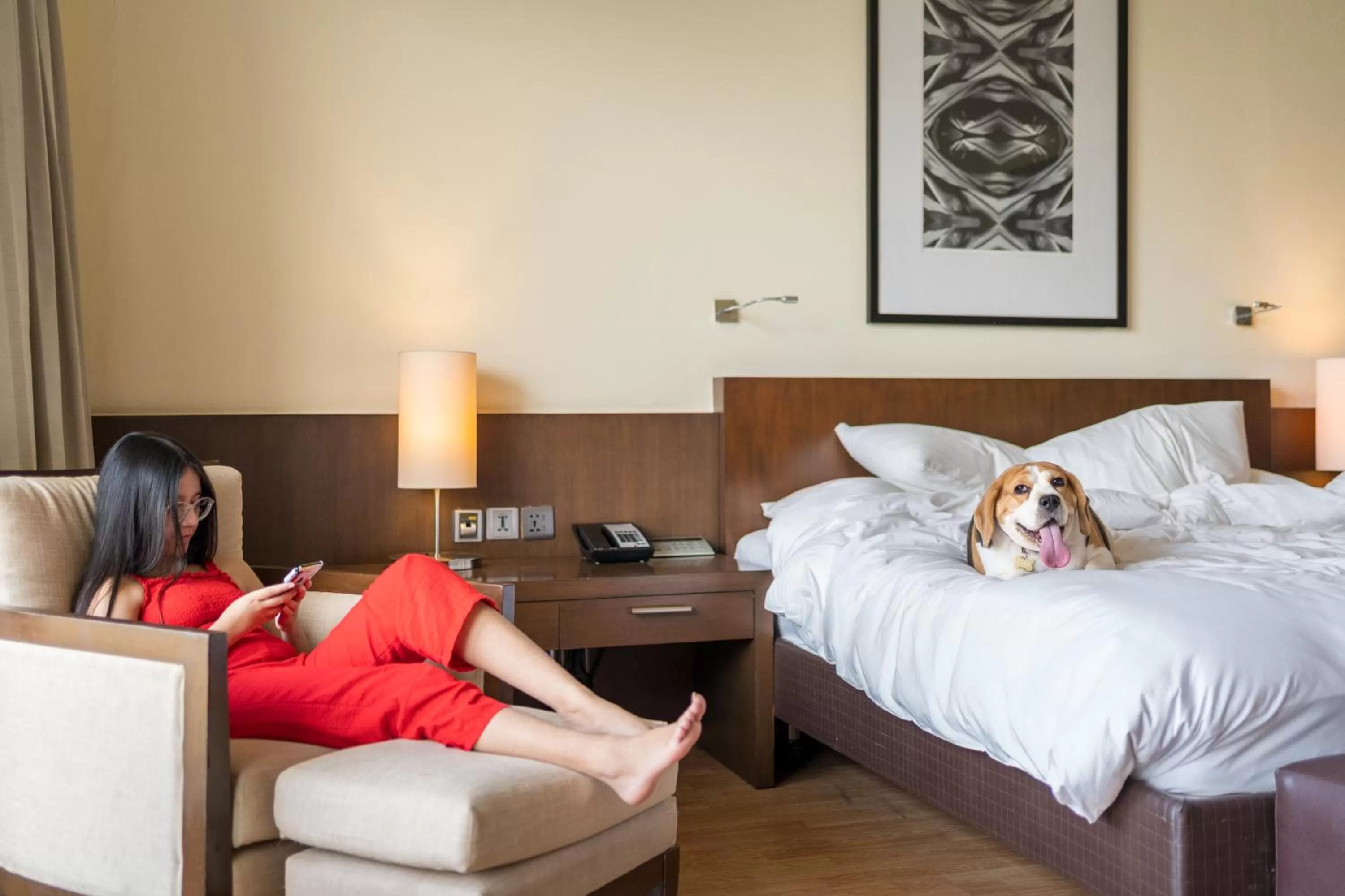 Pets, Bed in Hyatt Hyderabad Gachibowli