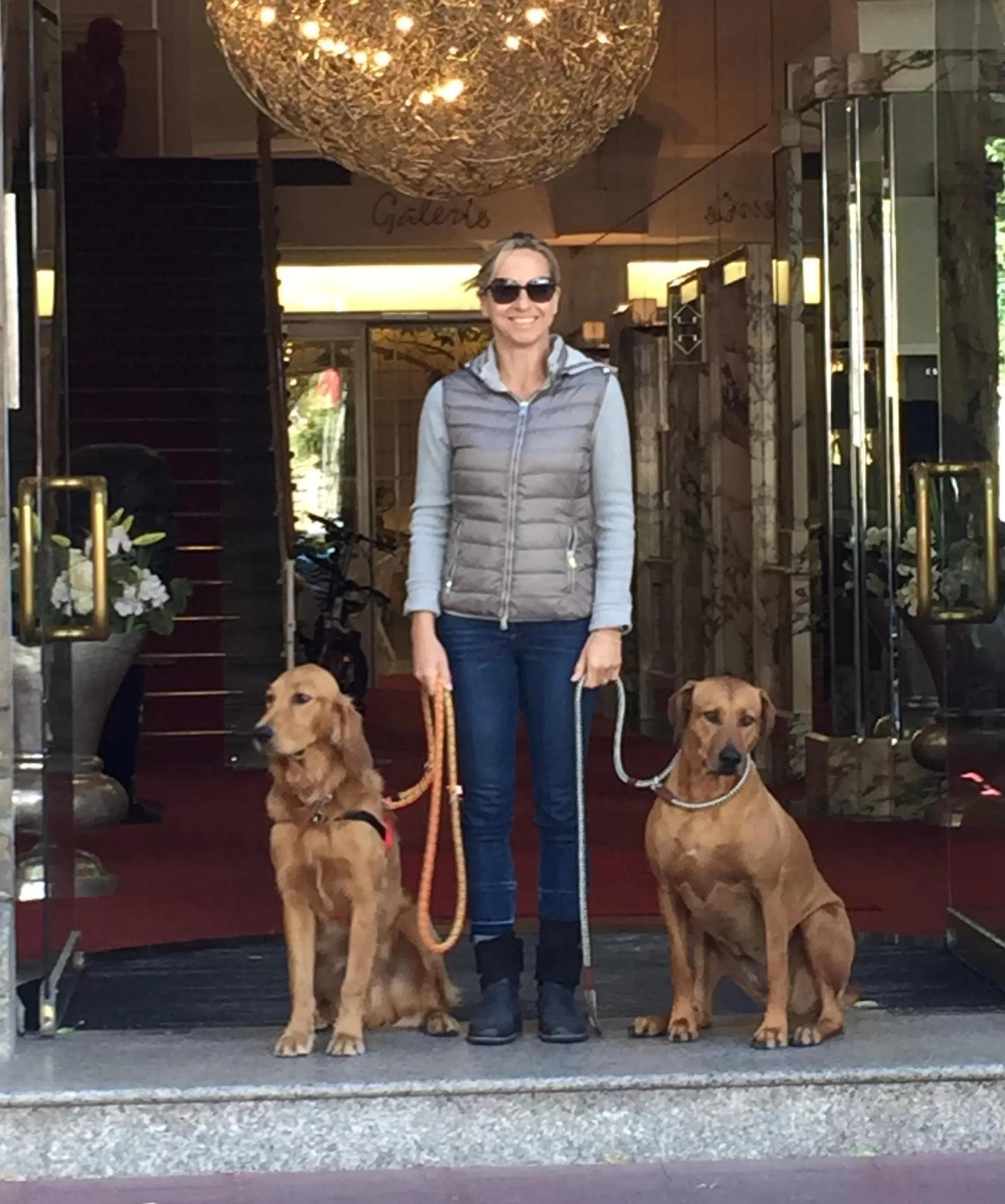 Pets in Hotel Bamberger Hof Bellevue