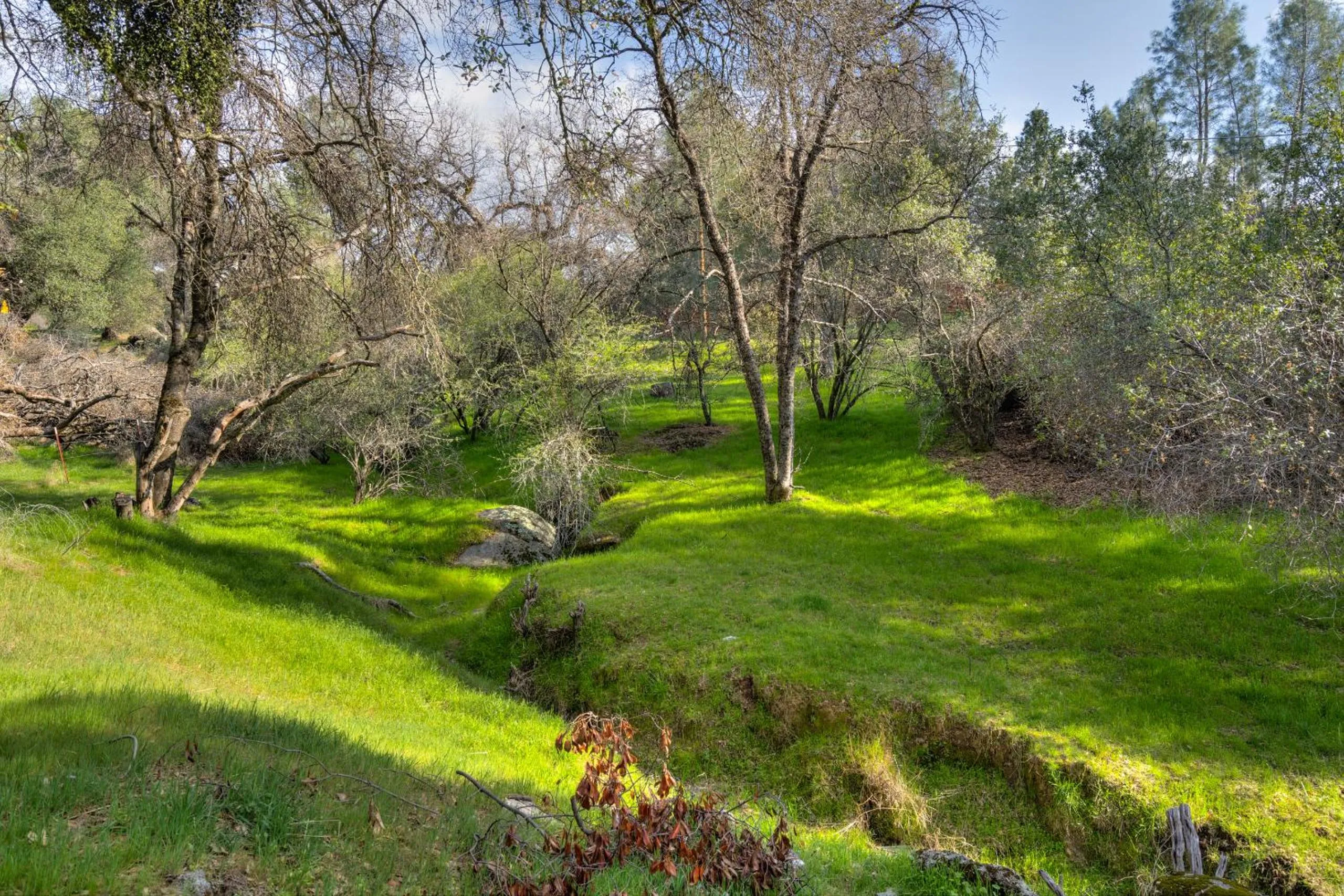 Mountain Trail Lodge and Vacation Rentals