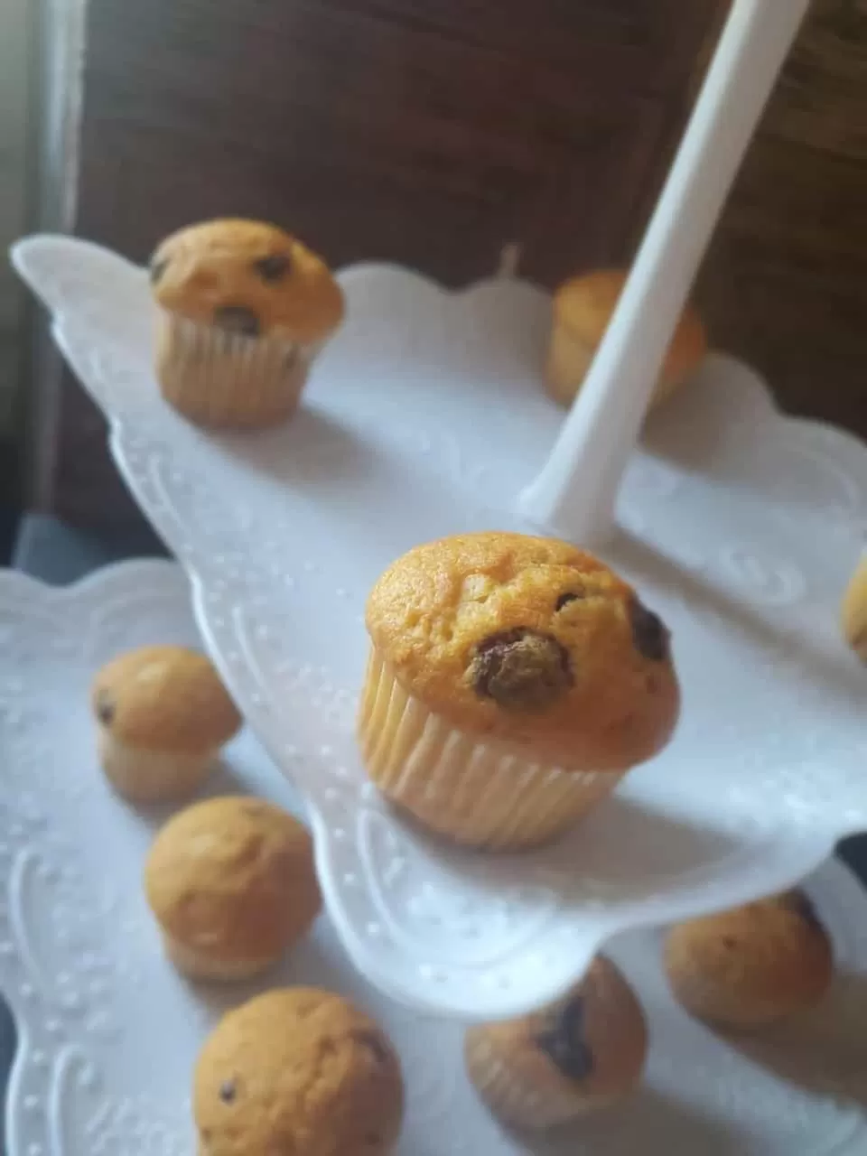 Food and drinks in Hotel Fedora