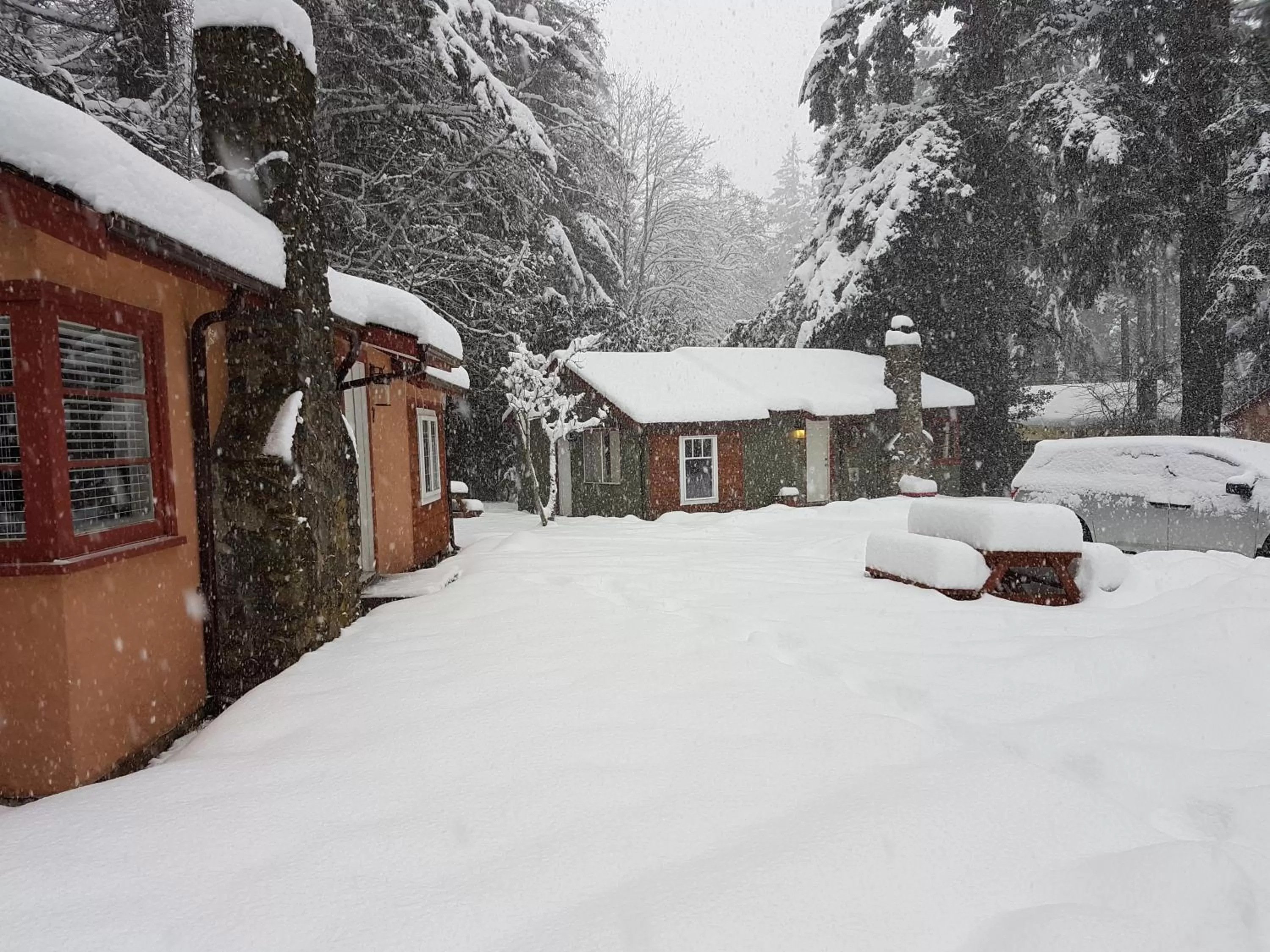Winter in Malahat Bungalows Motel