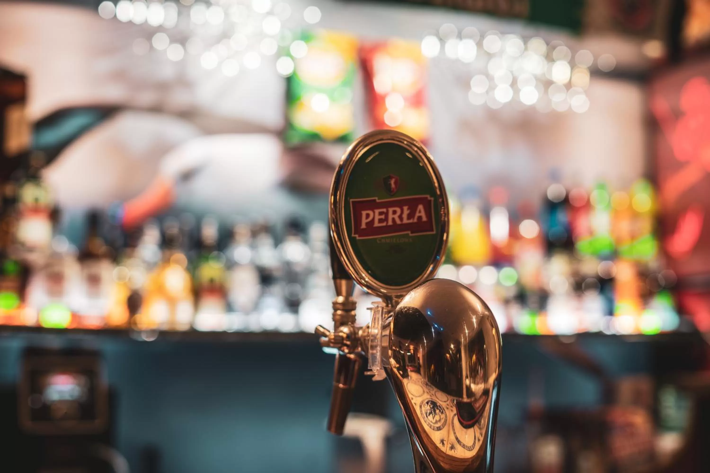 Food and drinks in ZAJAZD ALBATROS Rzeszów SPA