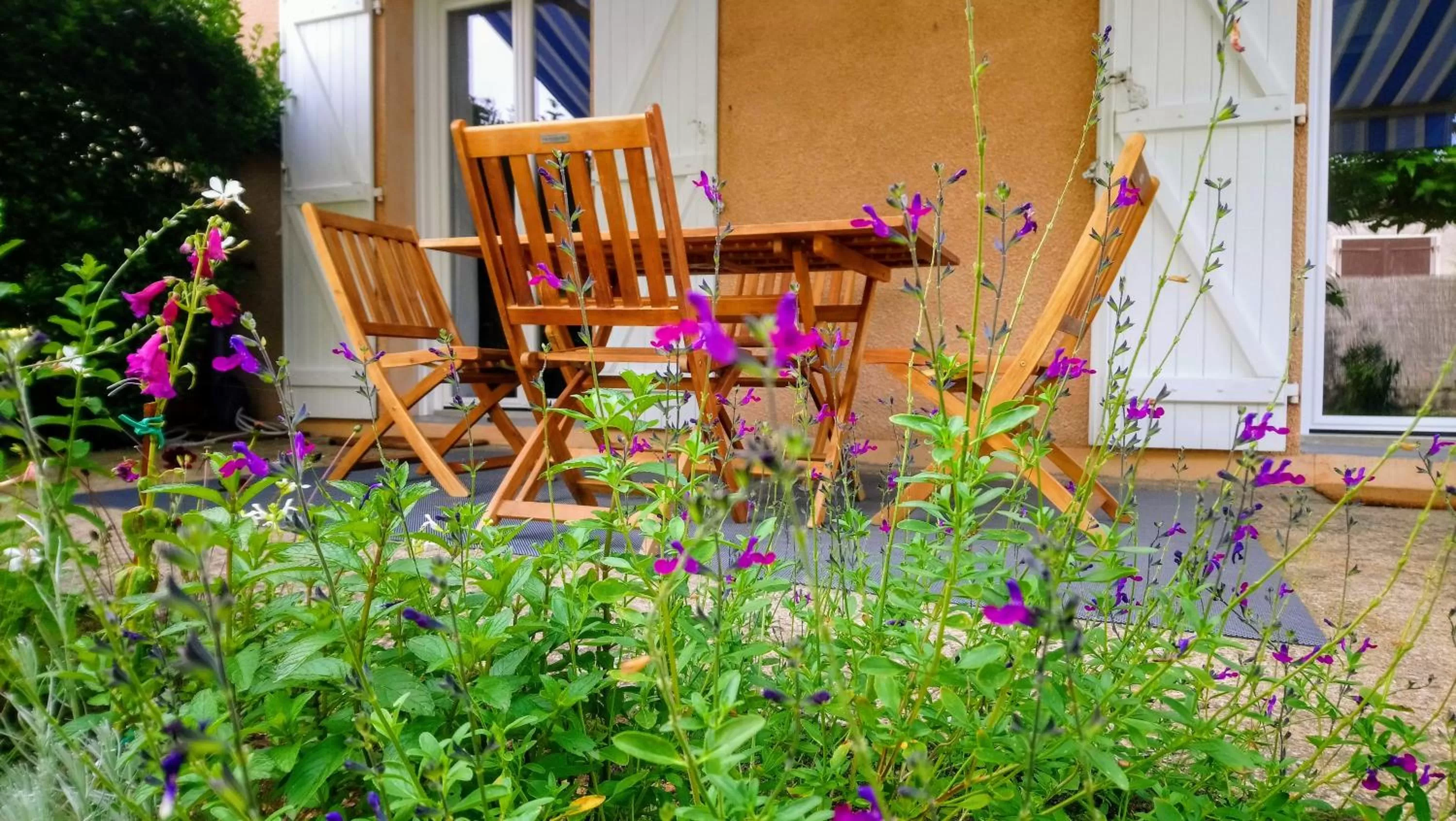 Patio in Fleurs de Cosmos