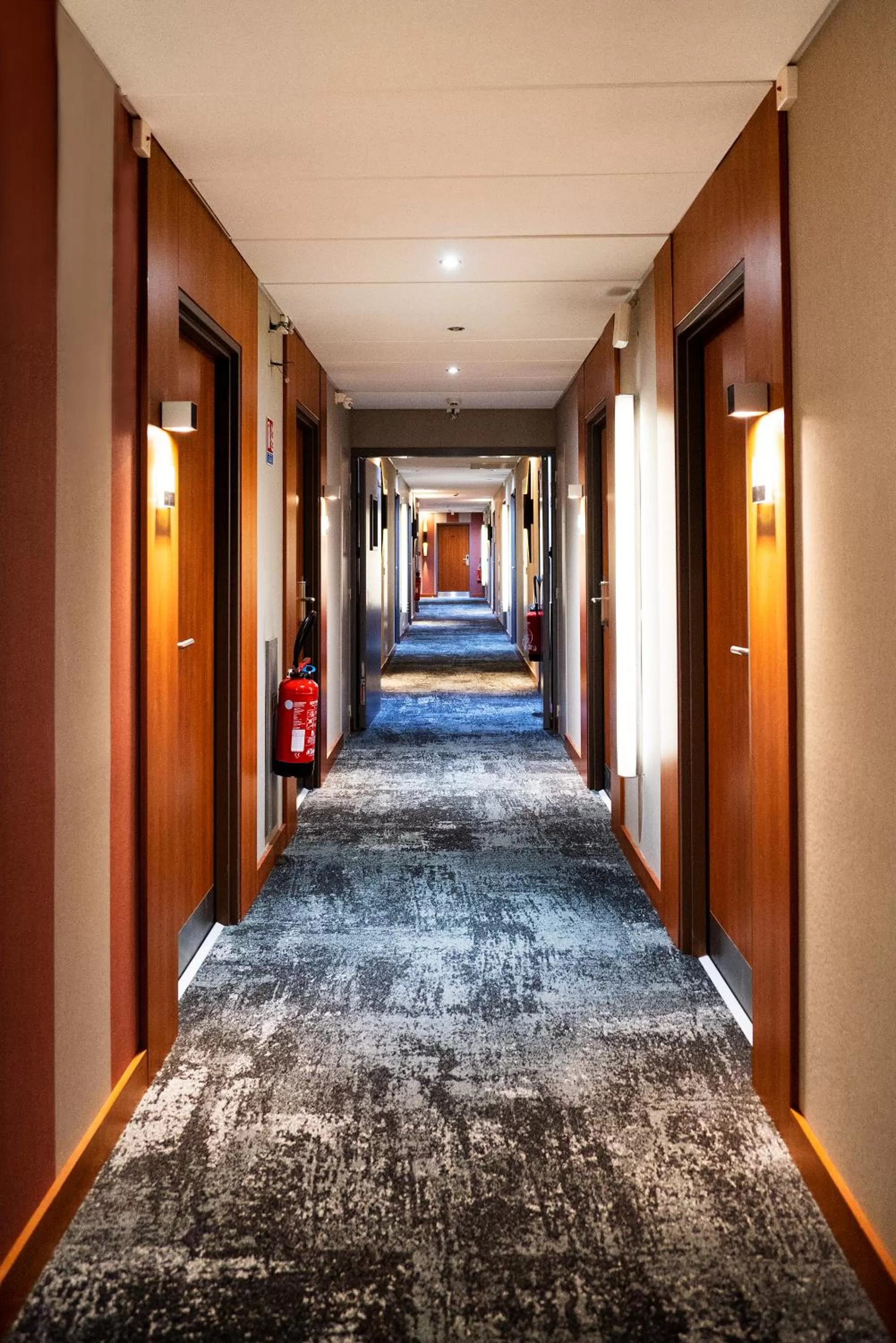 Area and facilities in Best Western Plus Hôtel Colbert