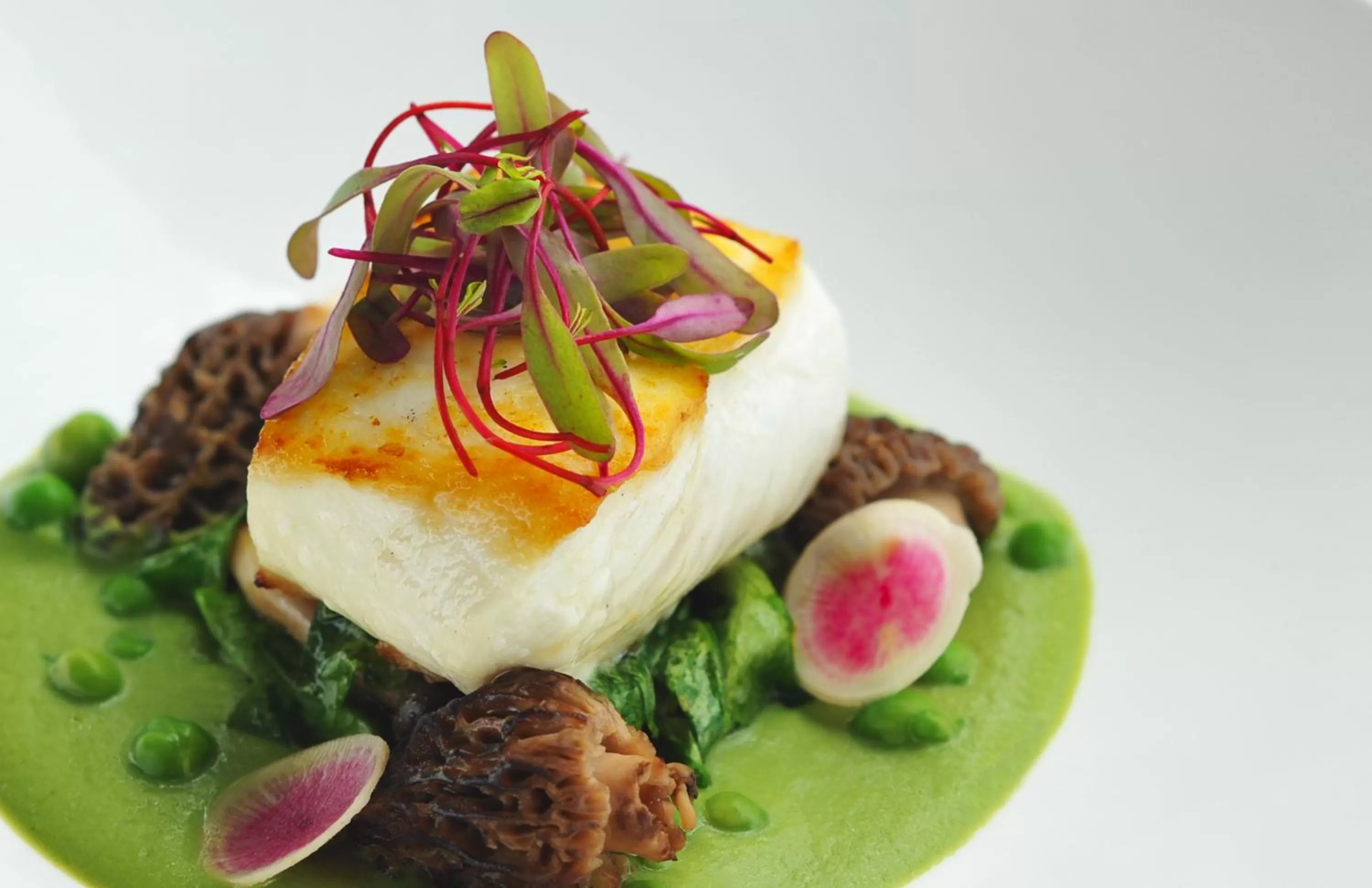 Restaurant/places to eat in Tower 23 Hotel