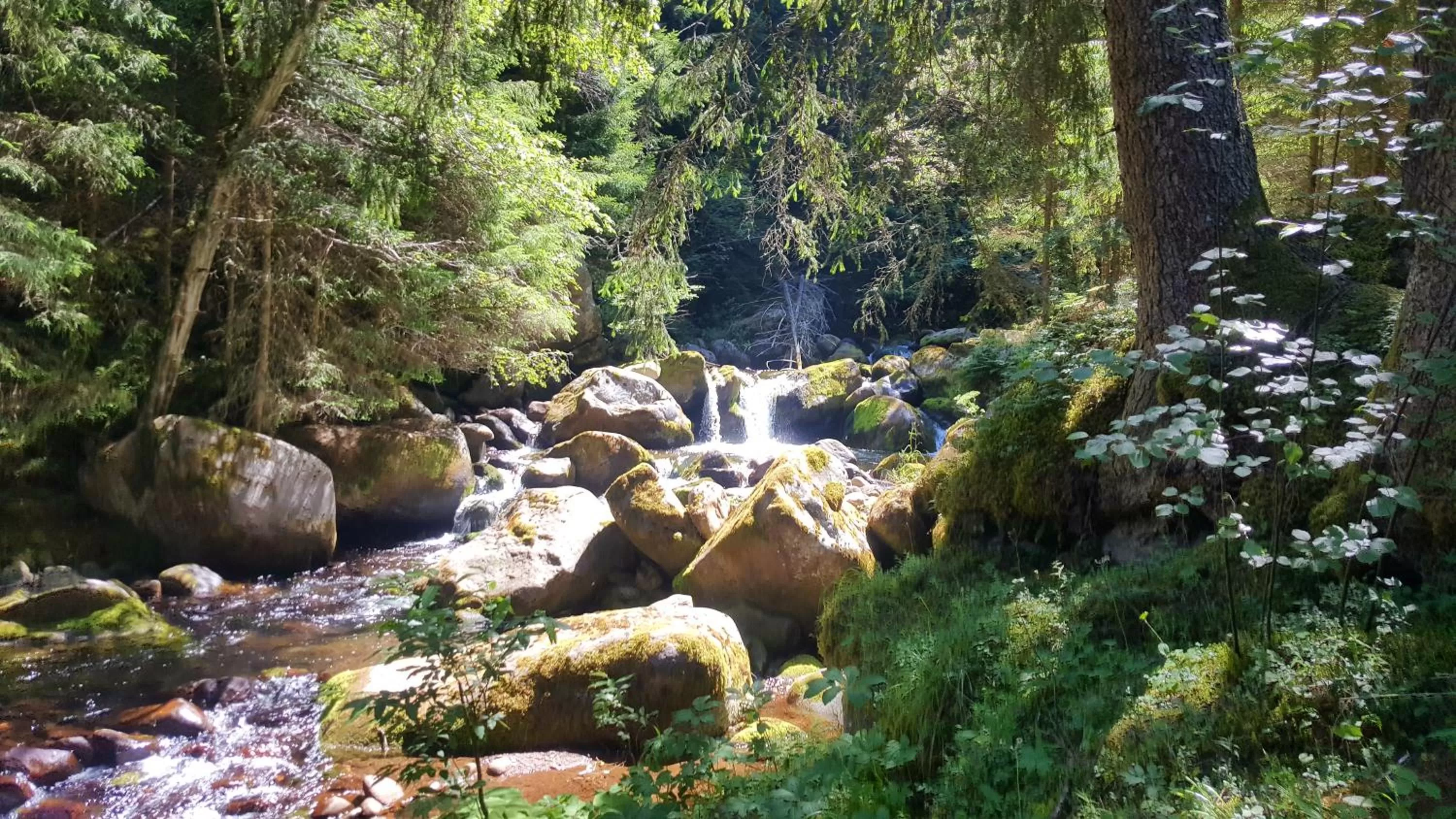 Hiking in Historic Hotel Ristorante La Stua