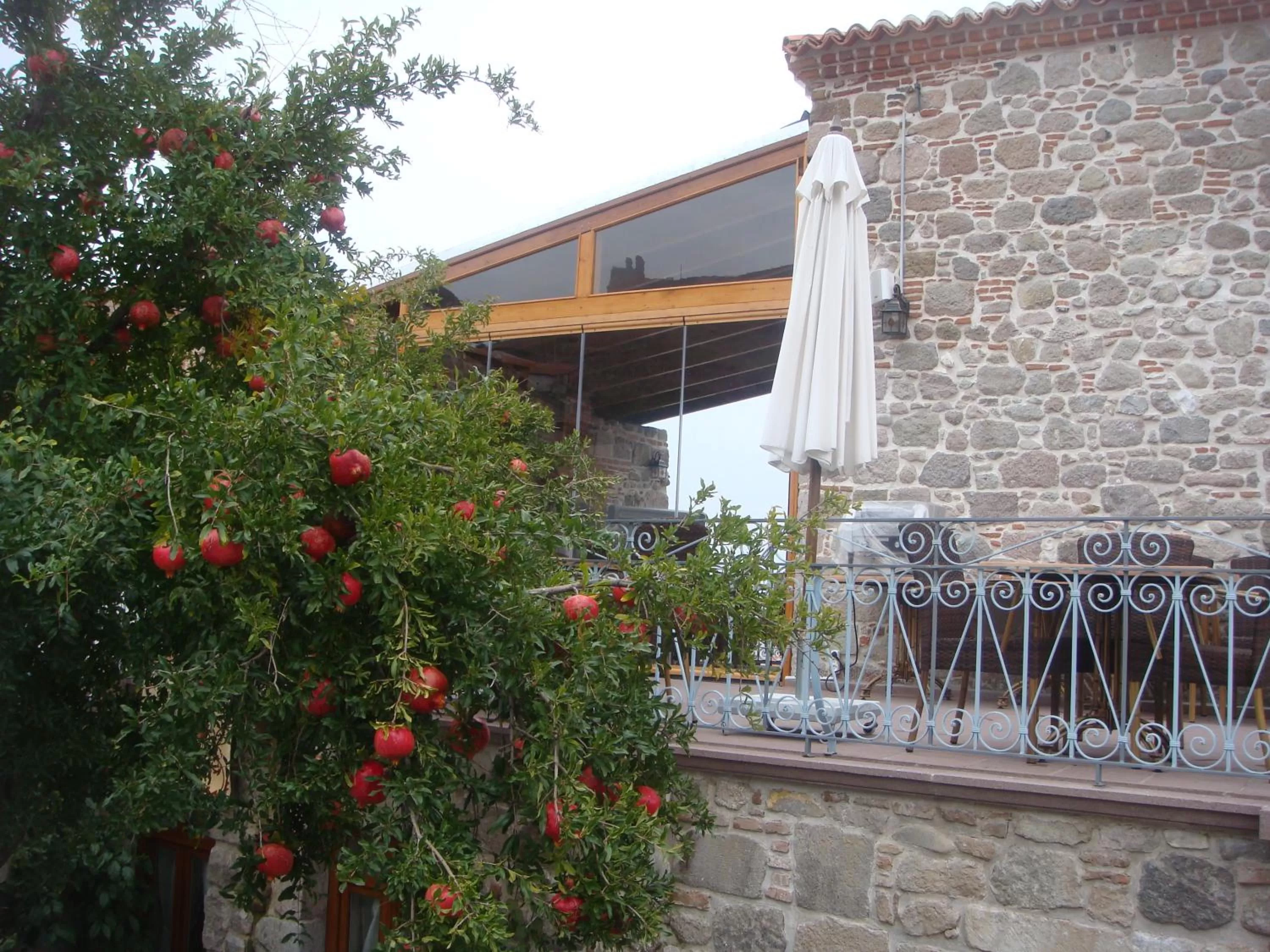 Breakfast in Hera Hotel