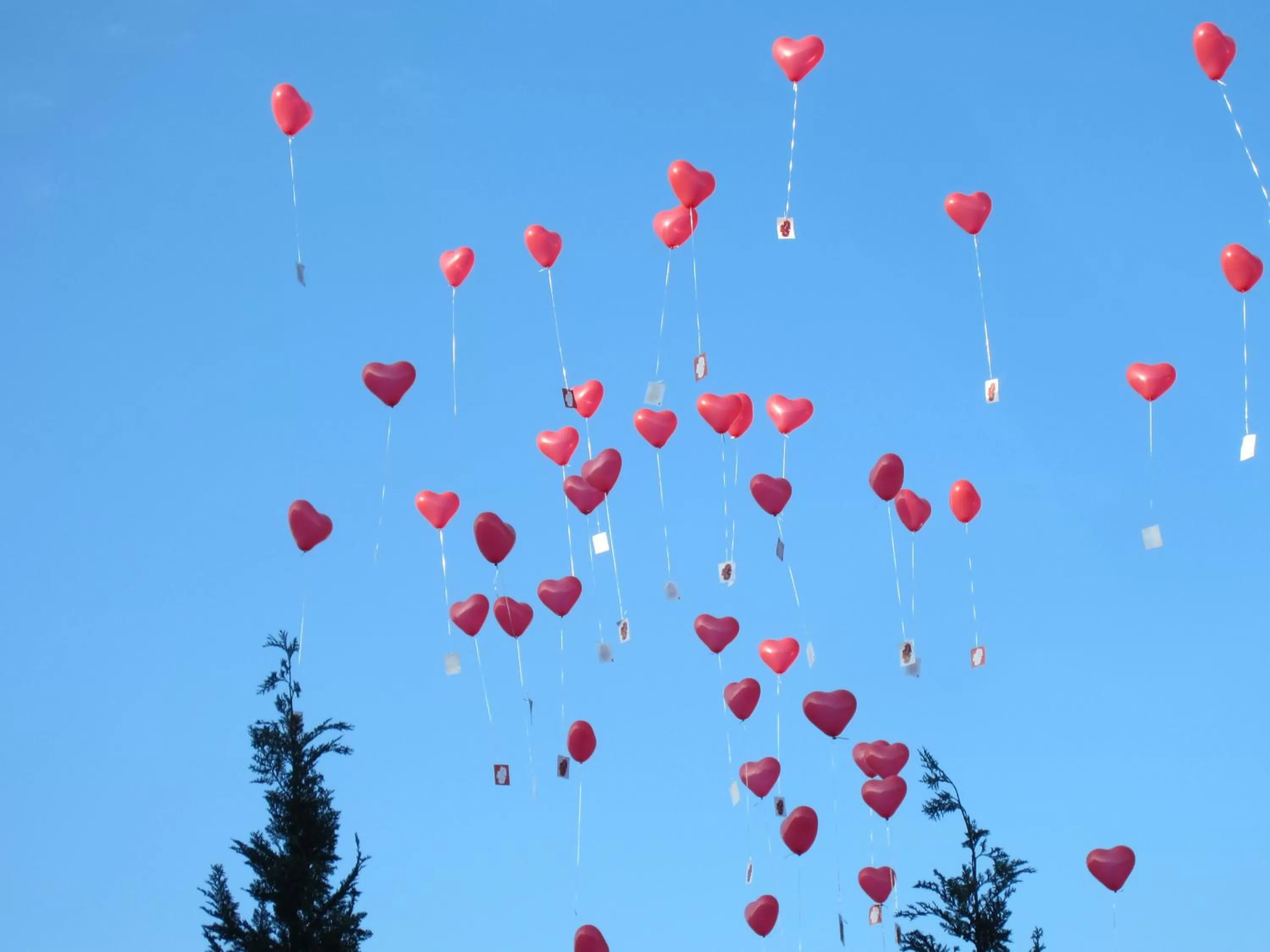 Banquet/Function facilities in Best Western Premier Seehotel Krautkrämer