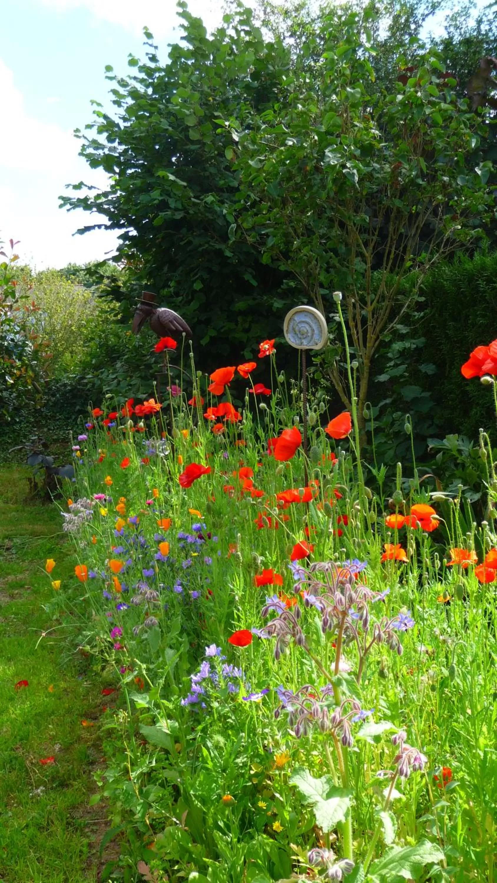 Garden in Chambres d'hôtes Le Bas Rassinoux