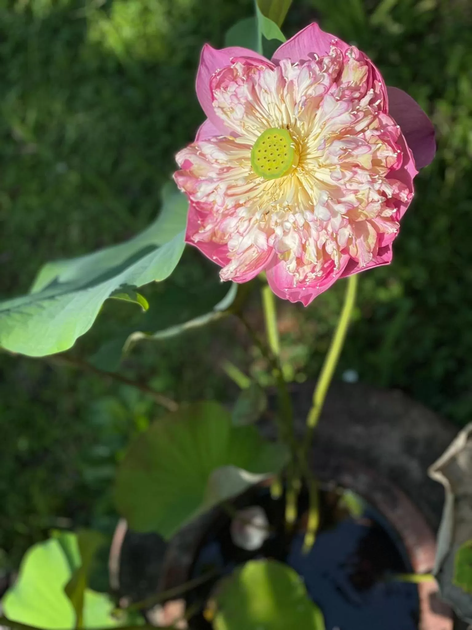 Nearby landmark in Khao Sok River & Jungle Resort