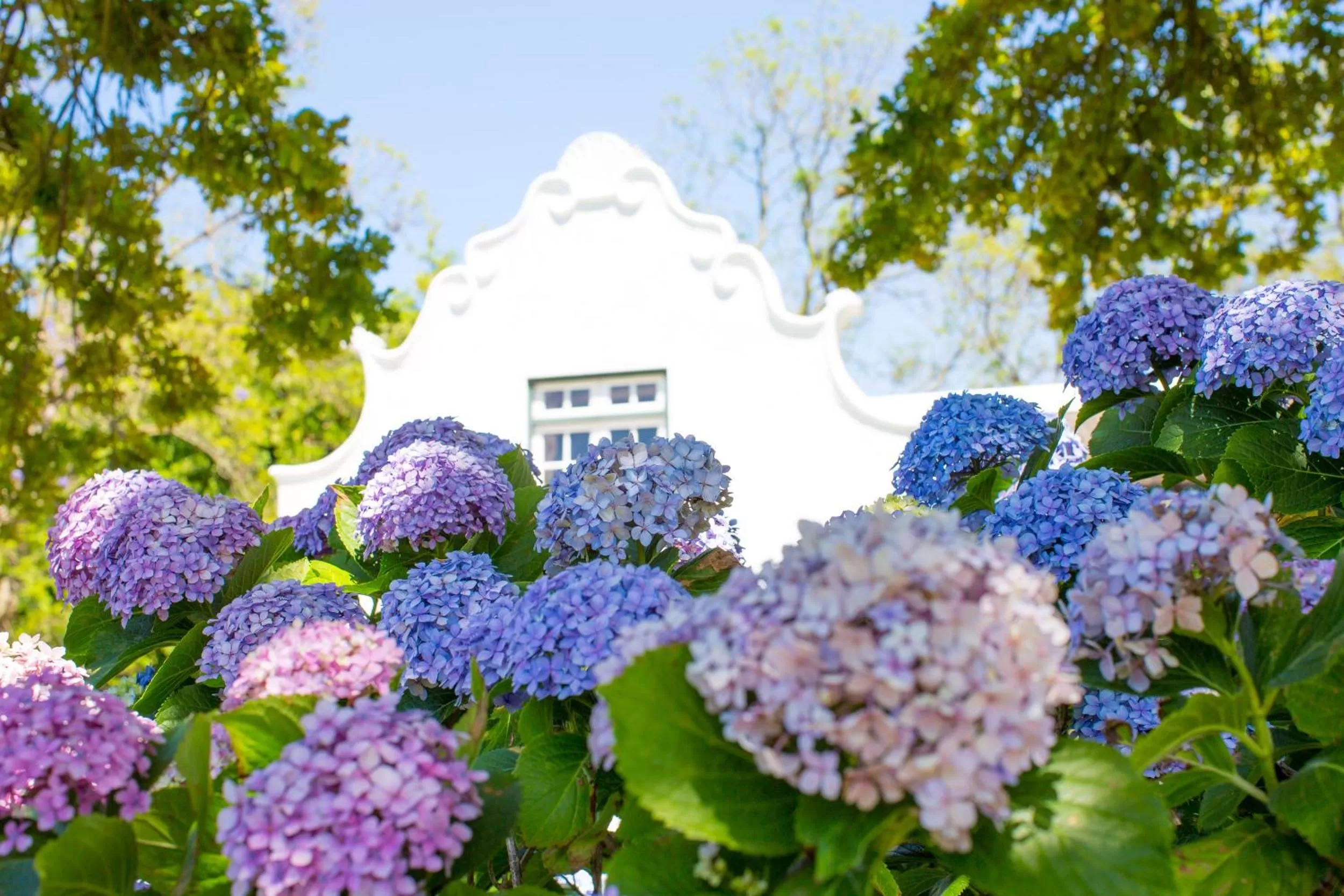 Property building in Adara Palmiet Valley Luxurious Boutique Farm Hotel