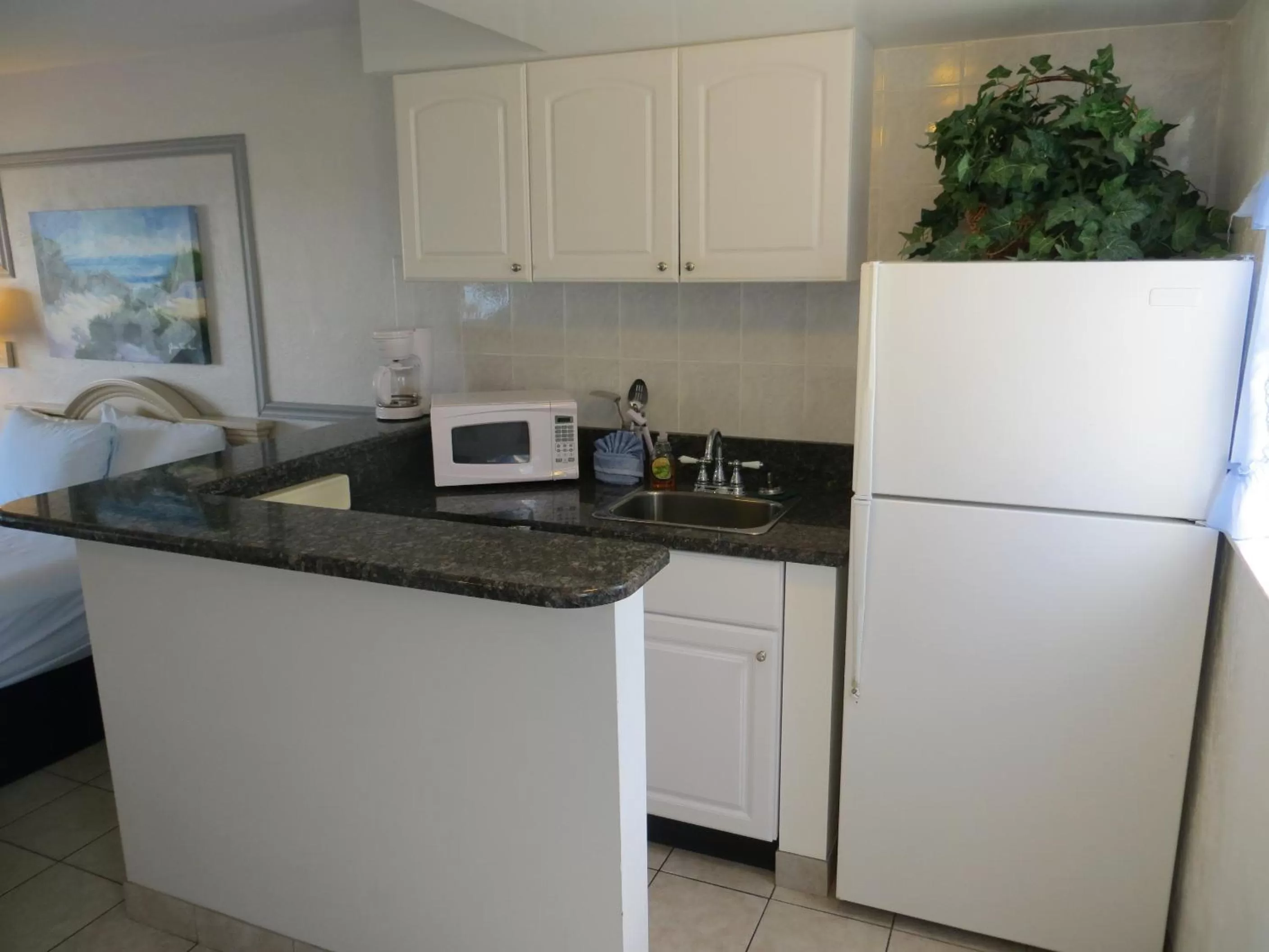 Kitchen or kitchenette in Sand Castle Motel