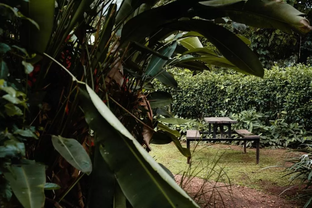 Natural landscape in 30 Wilson