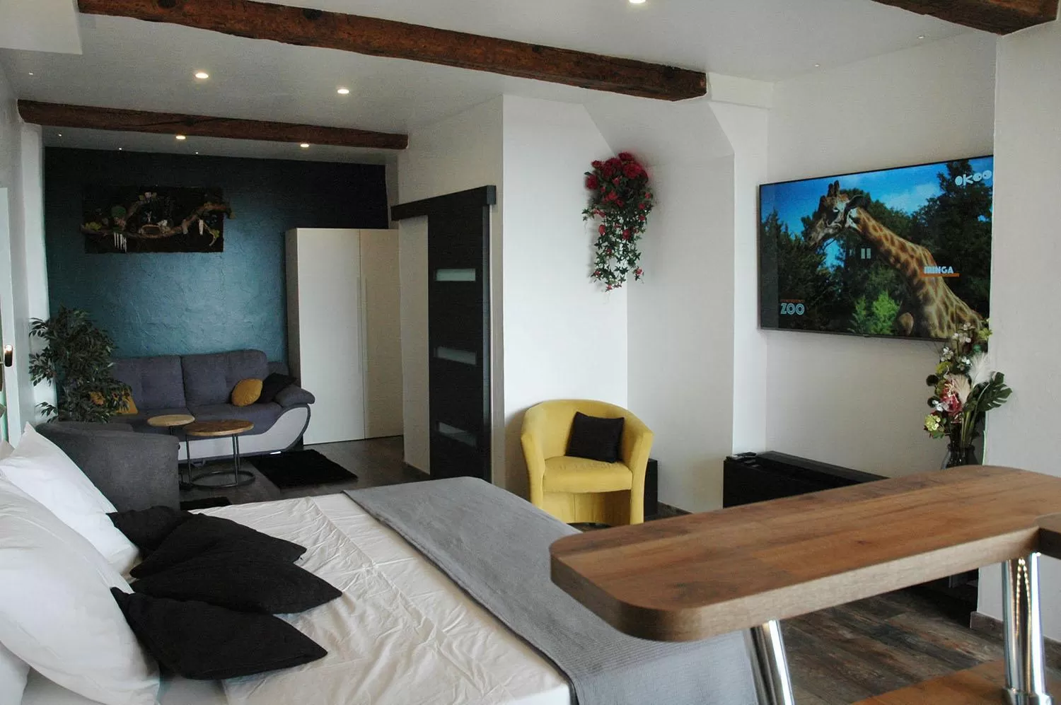 TV and multimedia in L'essens