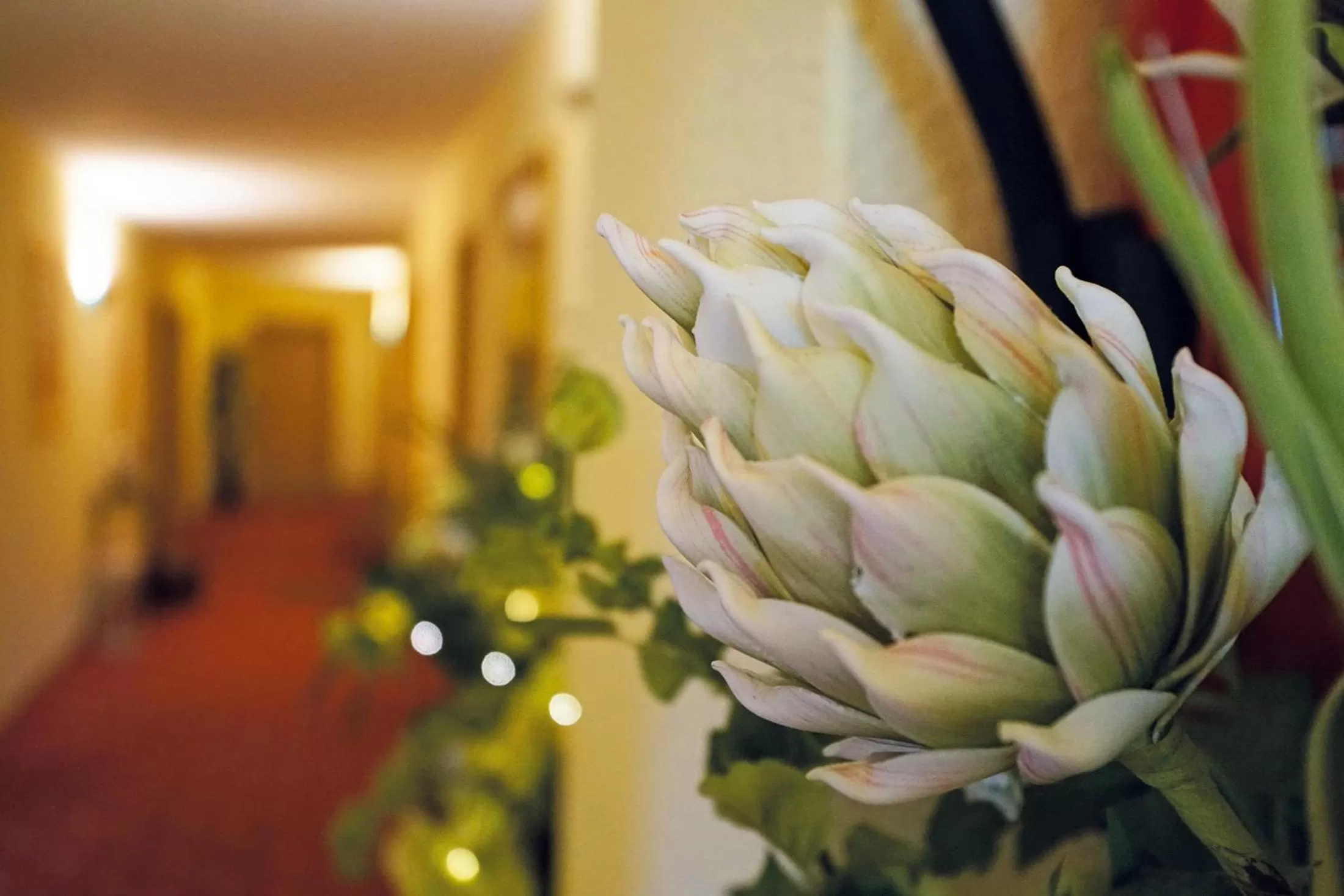 Lobby or reception in Hotel und Restaurant Bühlhaus