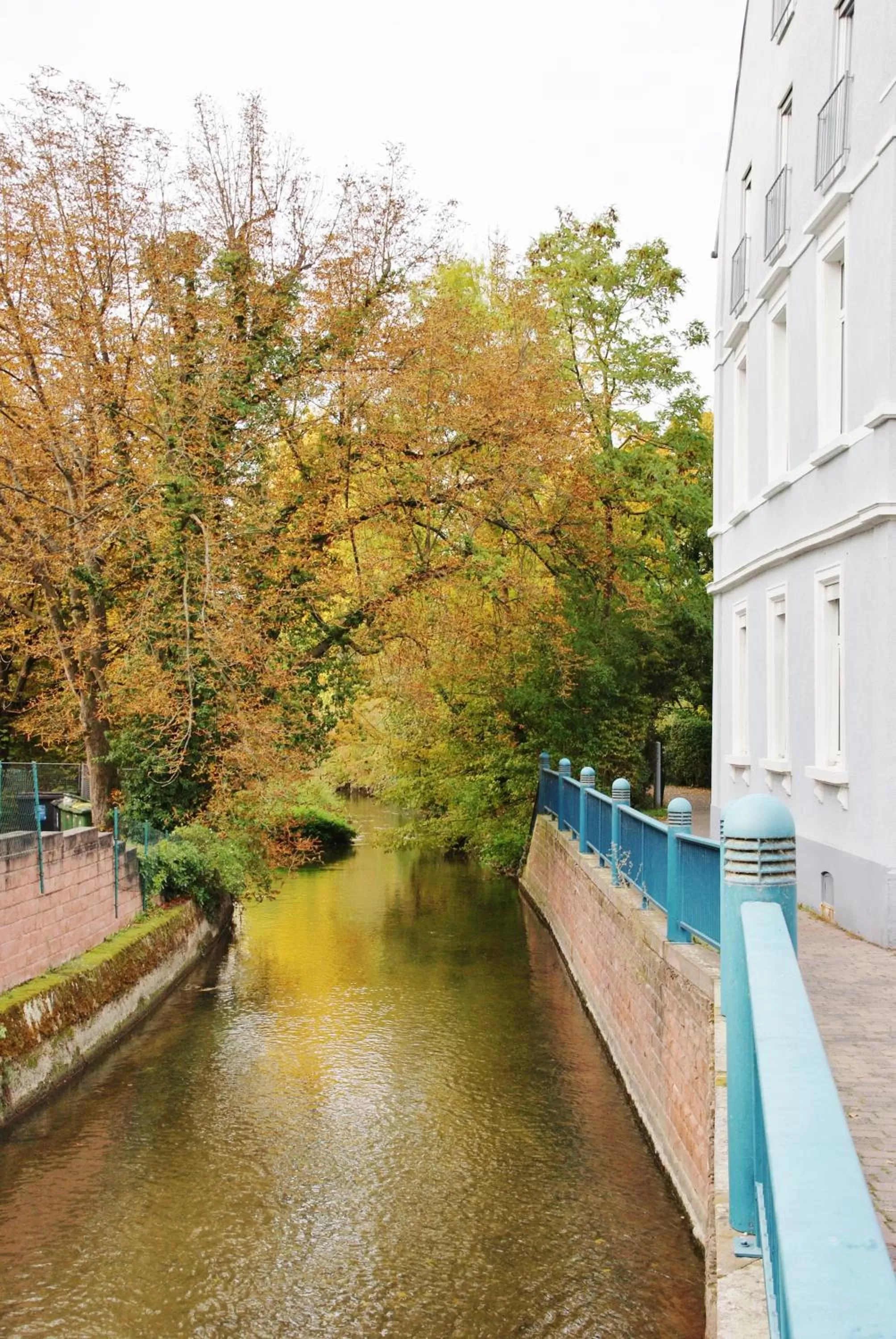 Area and facilities in Taste Hotel Hockenheim