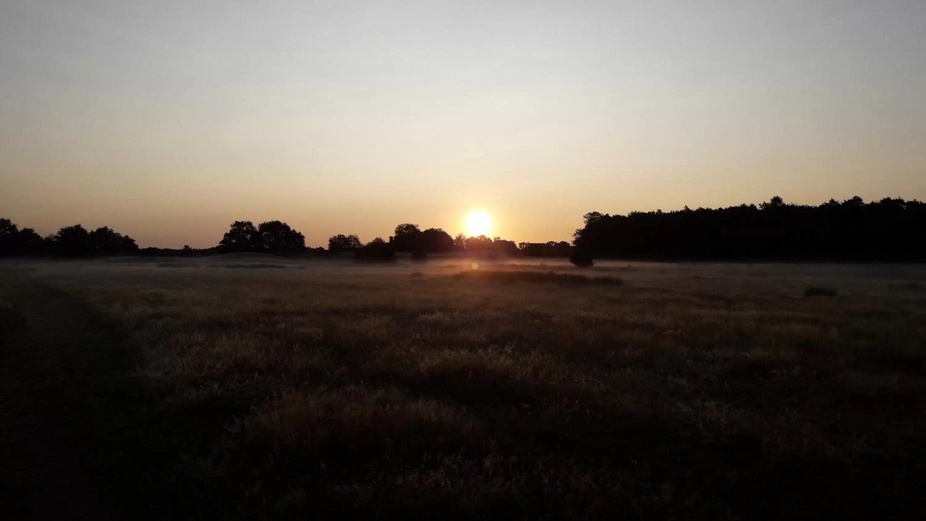 Area and facilities in 't Rond Bargie