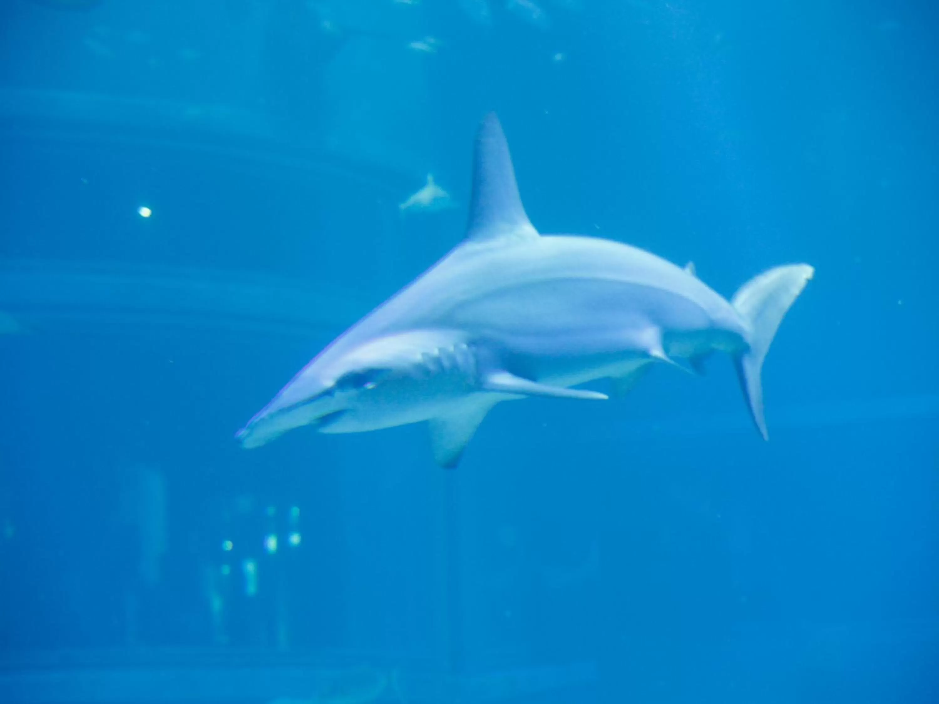 Nearby landmark in Hotel Wing International Select Osaka Umeda