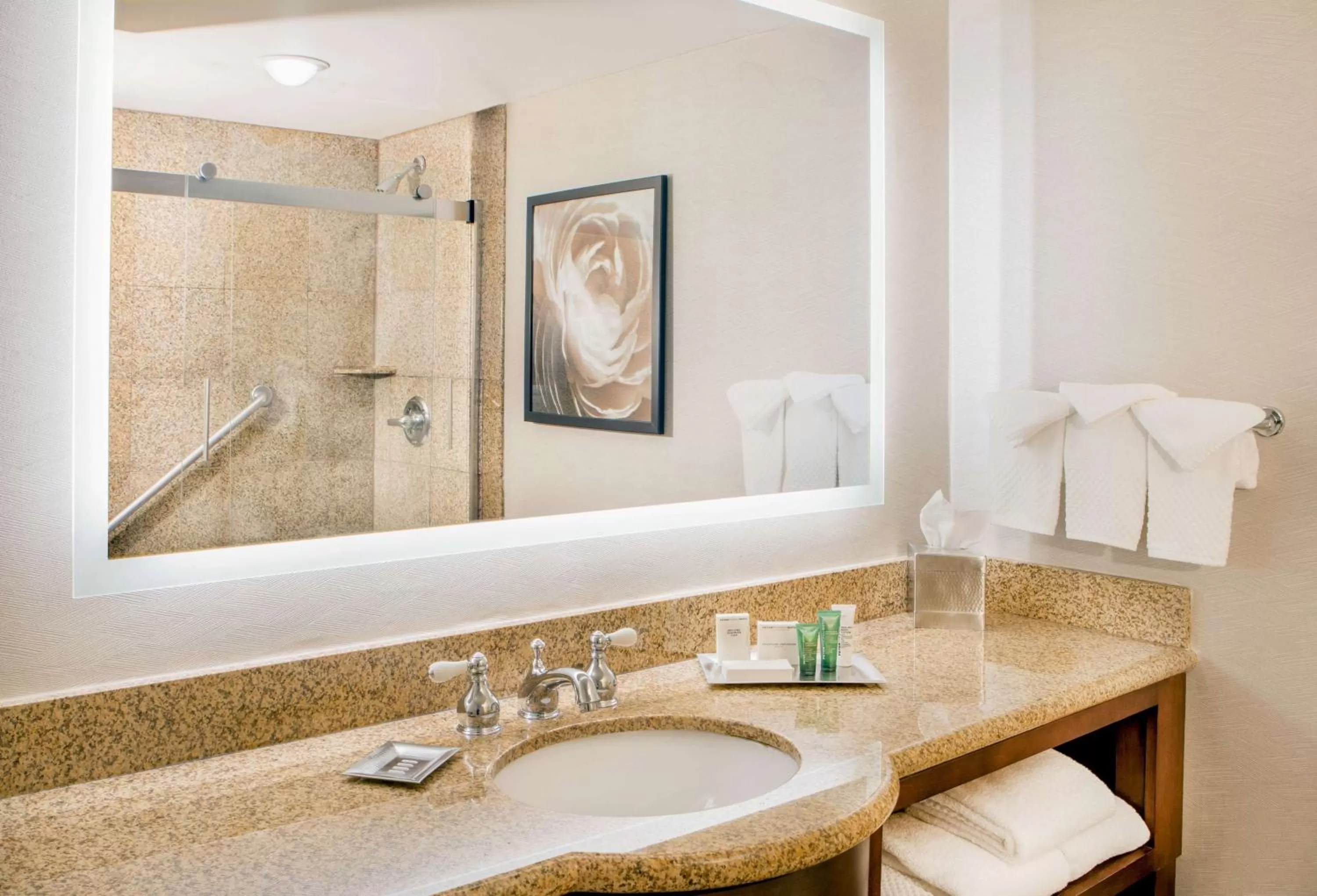 Bathroom in Hilton Wilmington/Christiana