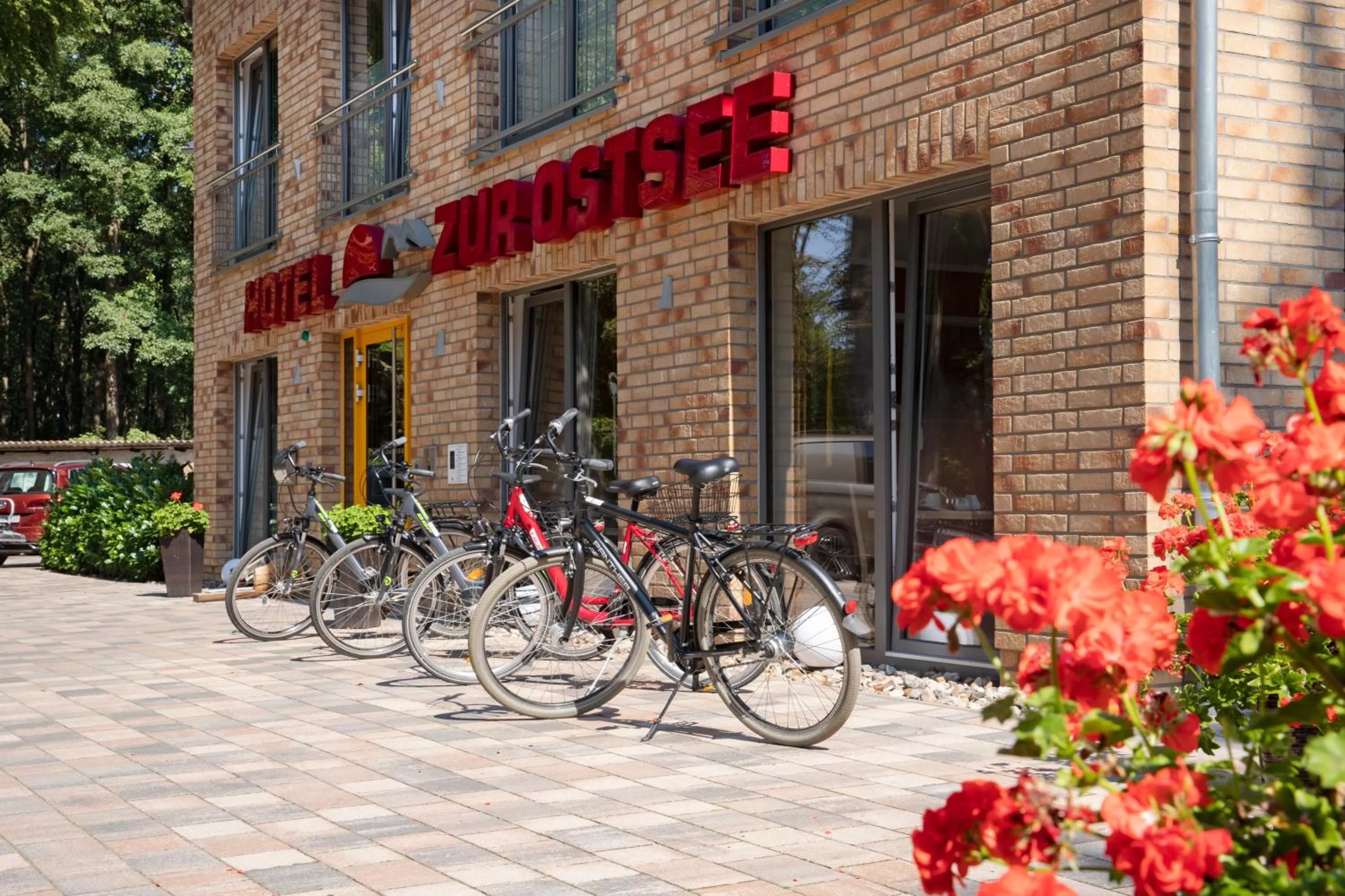 Cycling in Hotel zur Ostsee