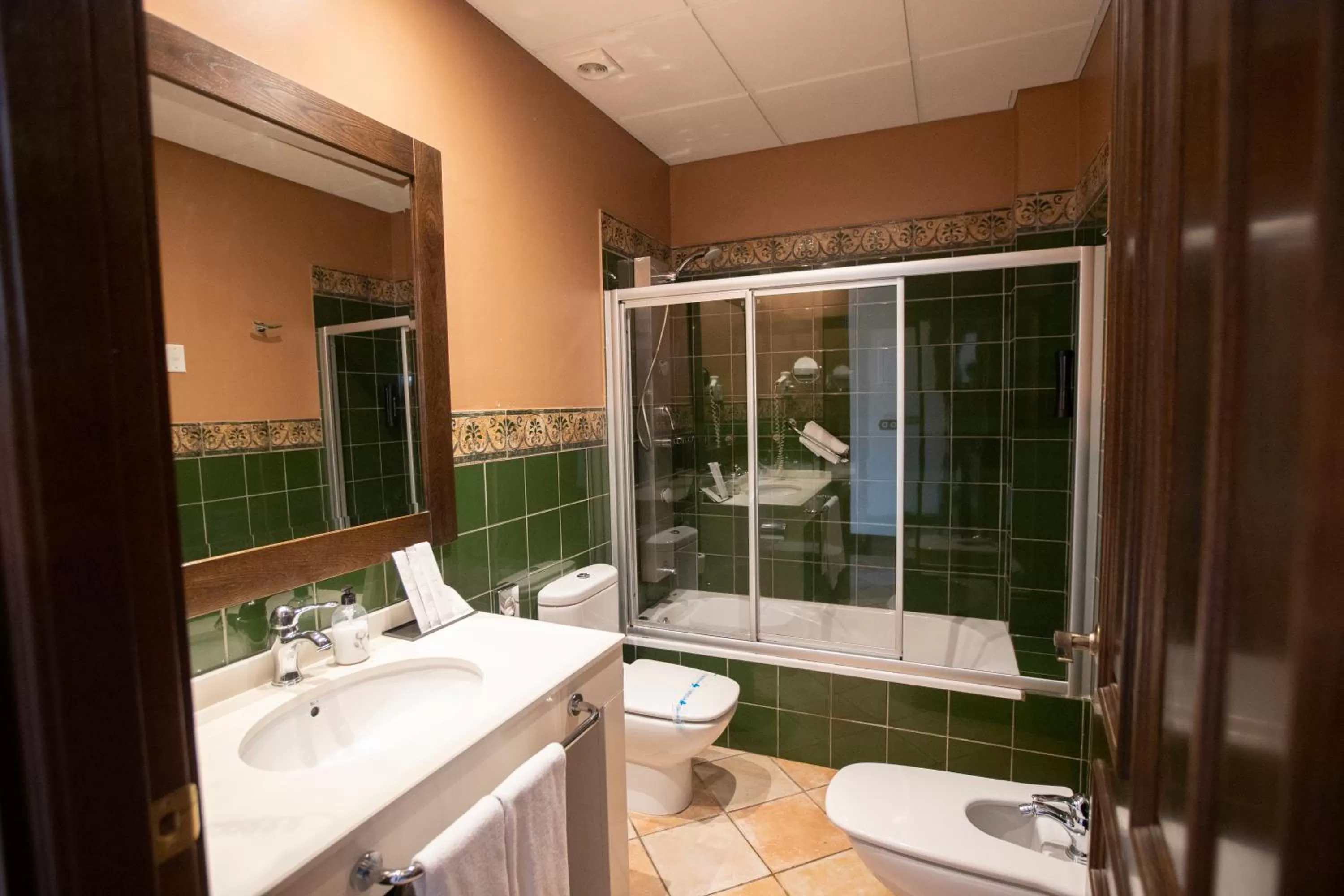 Toilet in Hotel Rural OLIVENZA PALACIO