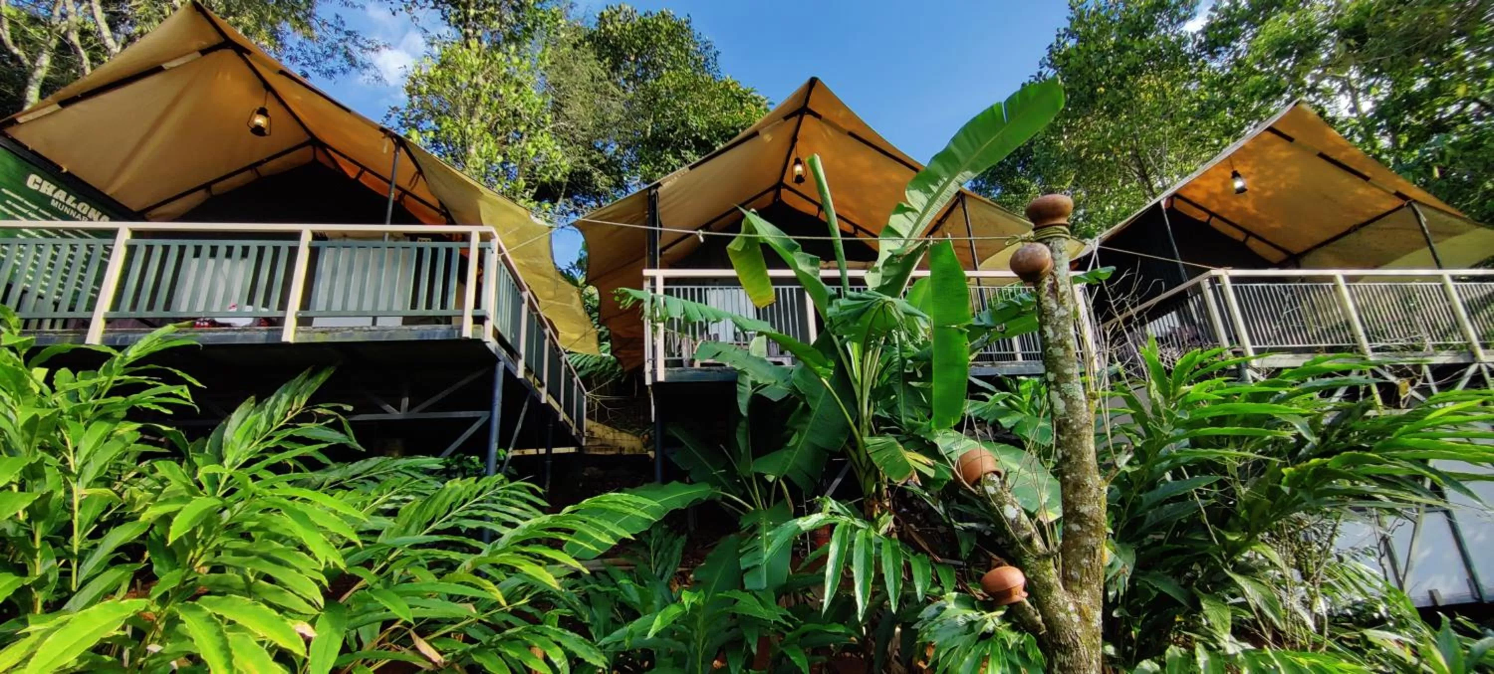 Property Building in Chalona Jungle Vibe