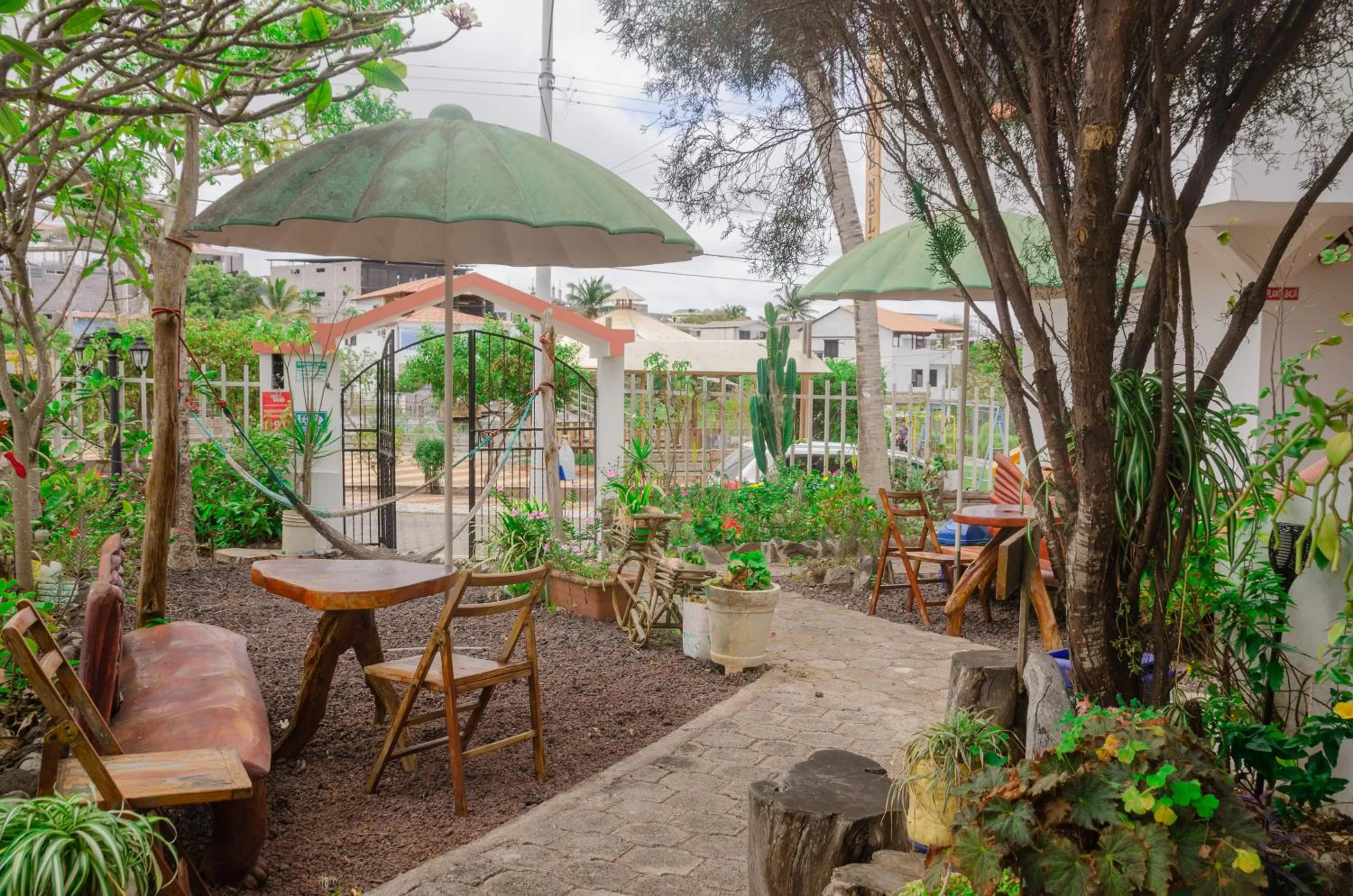 Spring in Casa de Nelly