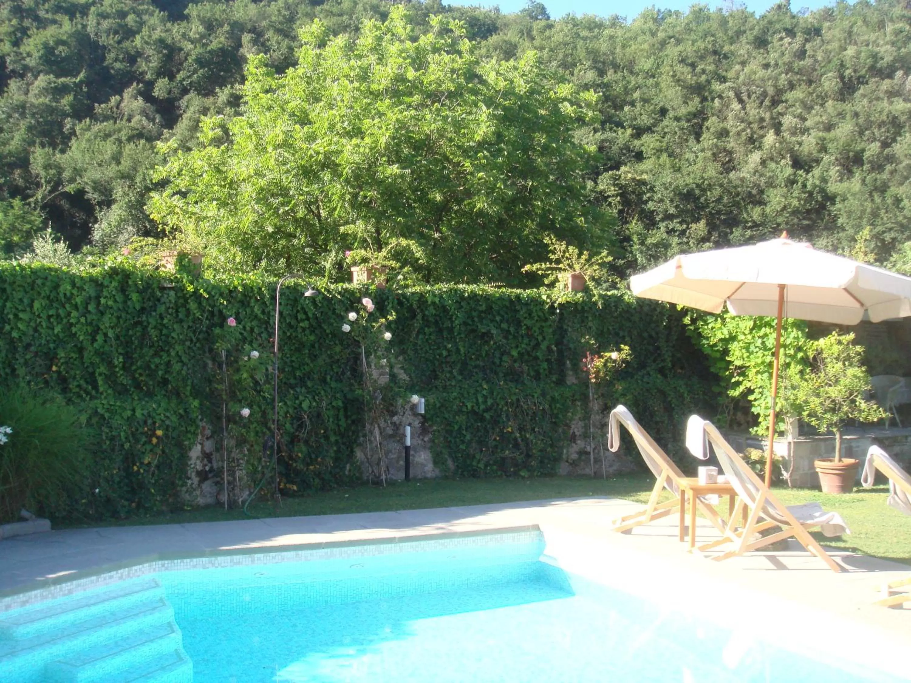Pool view in B&B Pieve Degli Artisti