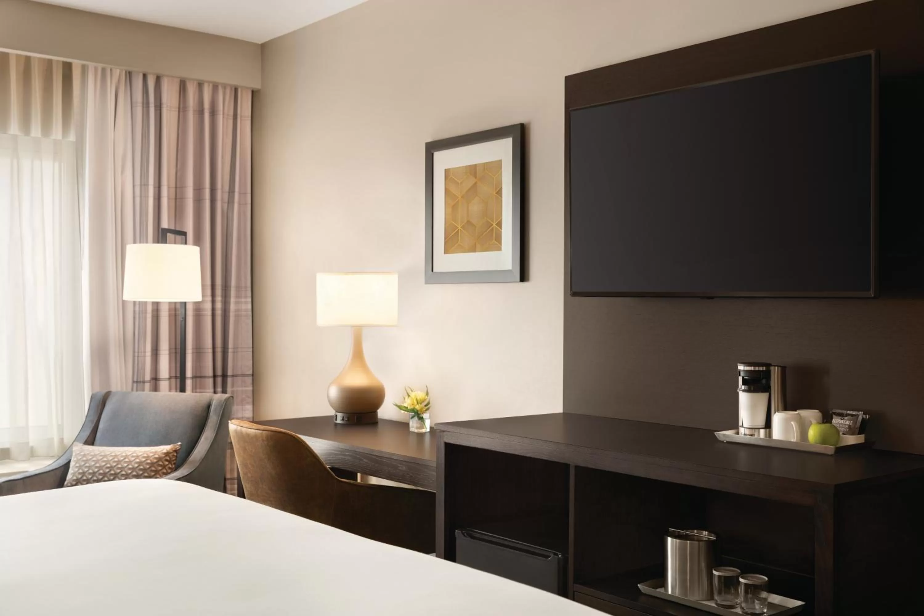 TV and multimedia, Bed in Radisson Hotel Oklahoma City Airport