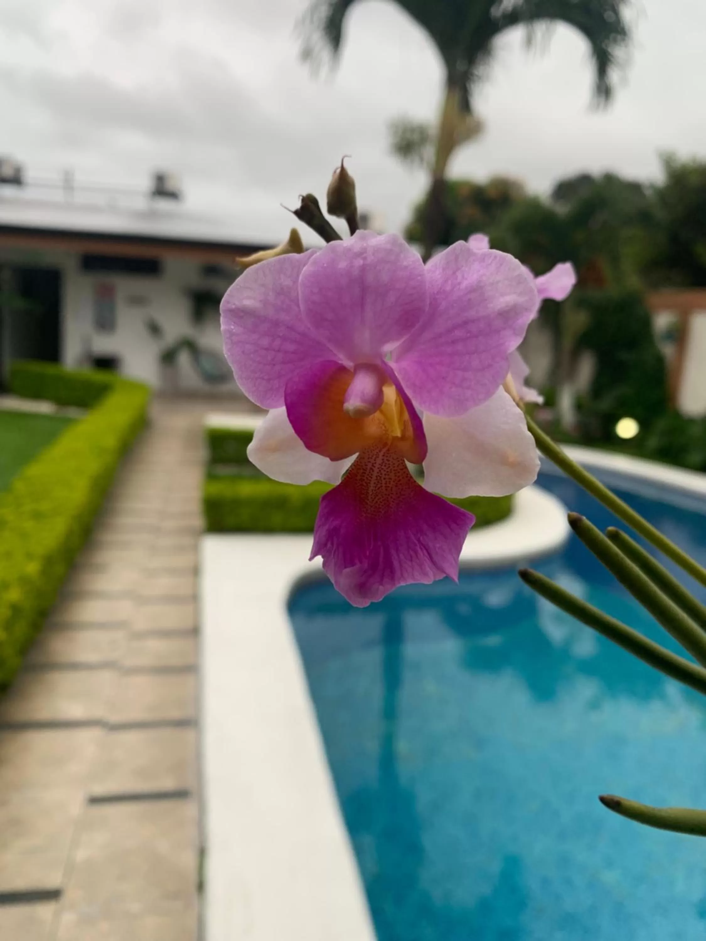 View (from property/room) in Berlor Airport Inn