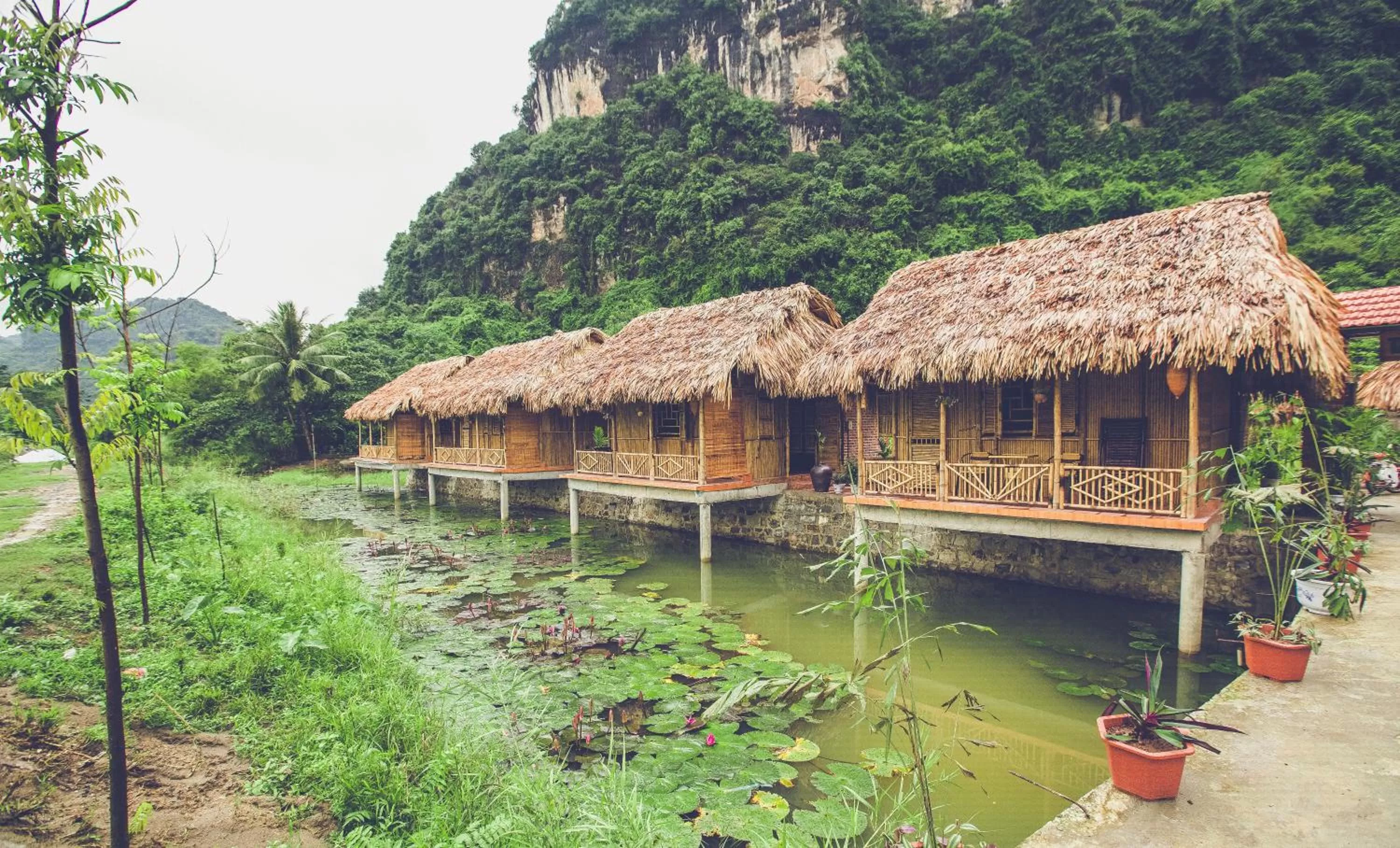 Natural landscape in Tam Coc Rice Fields Resort