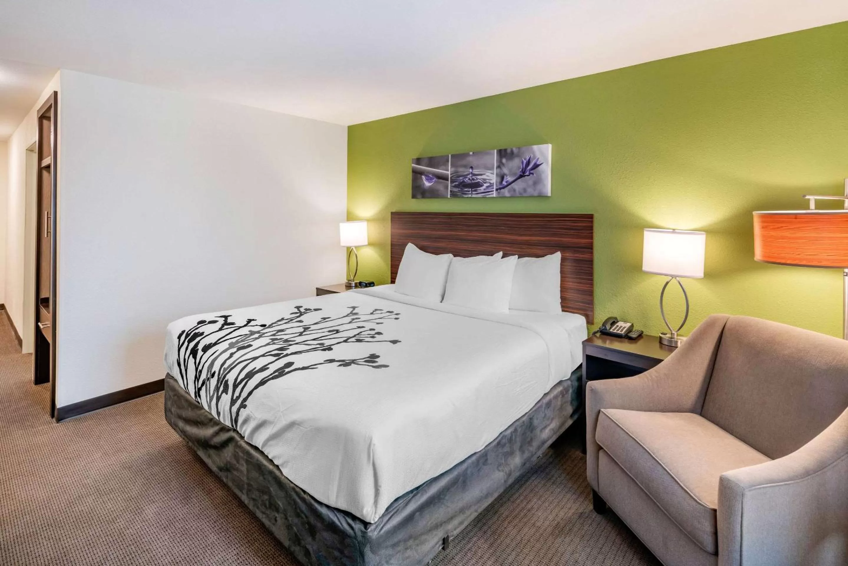 Photo of the whole room, Bed in Sleep Inn Spokane Airport