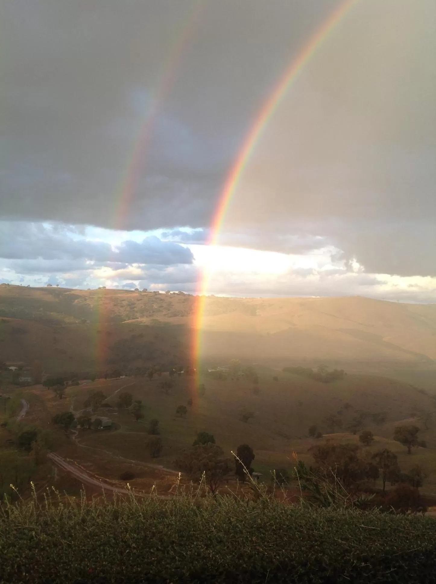 Amazing Views Pet Friendly Bed and Breakfast