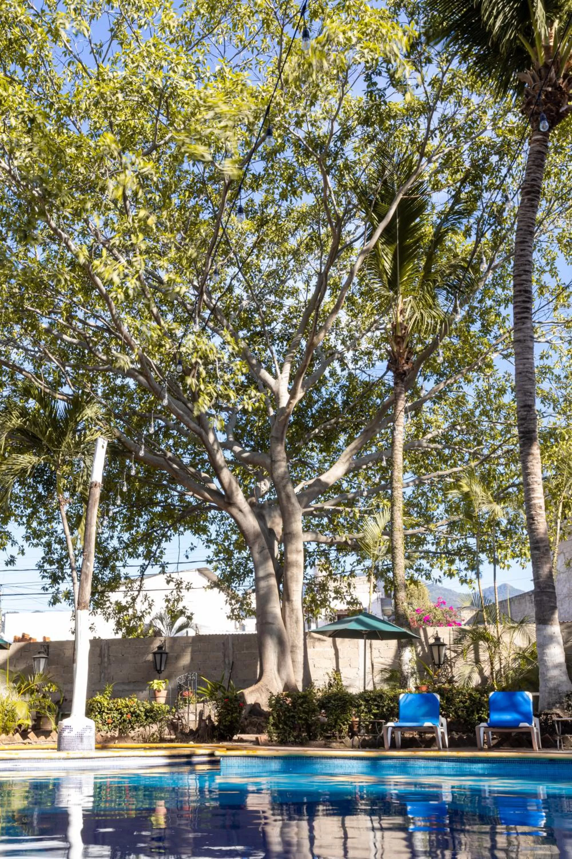Swimming pool in Soy Local Puerto Vallarta