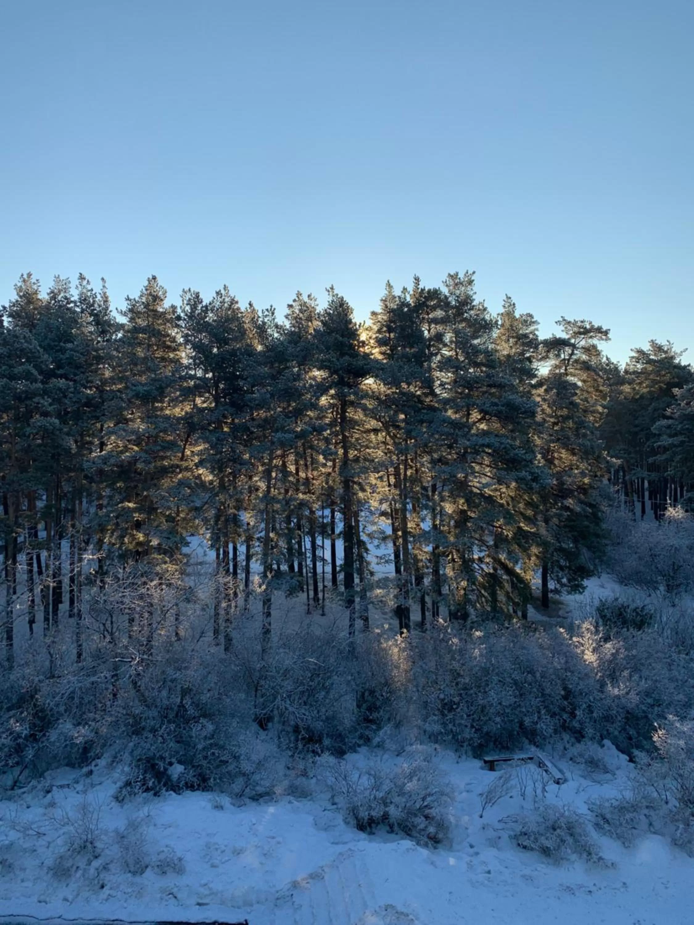 View (from property/room) in Zhaylau Hotel