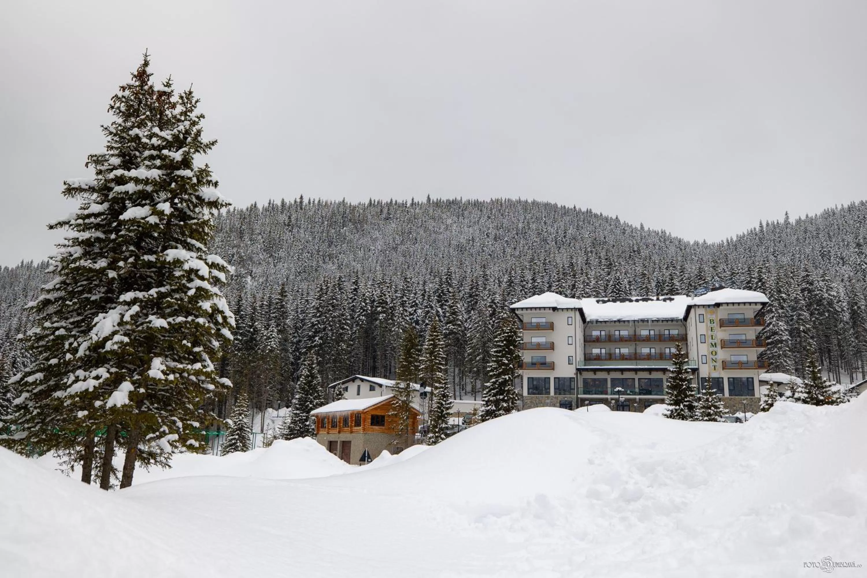 Property Building in Hotel Belmont