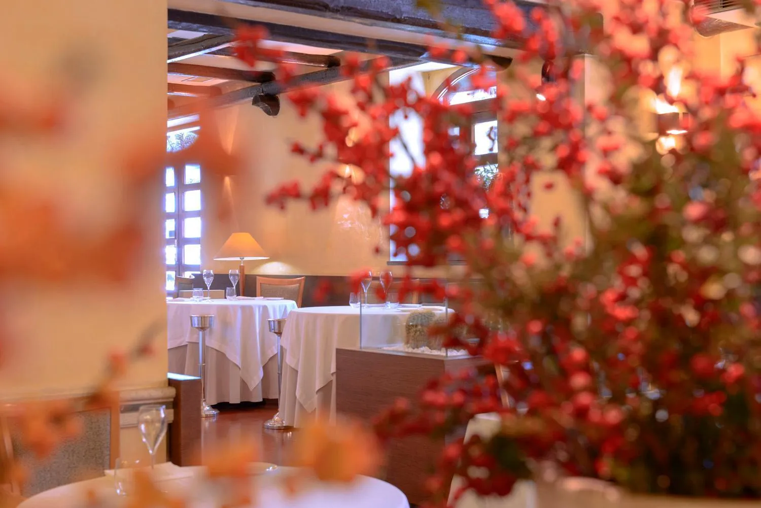 Restaurant/places to eat in Hotel Cala Del Porto